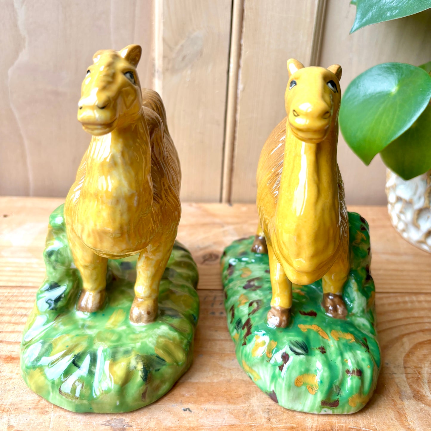 Vintage Staffordshire style Camels