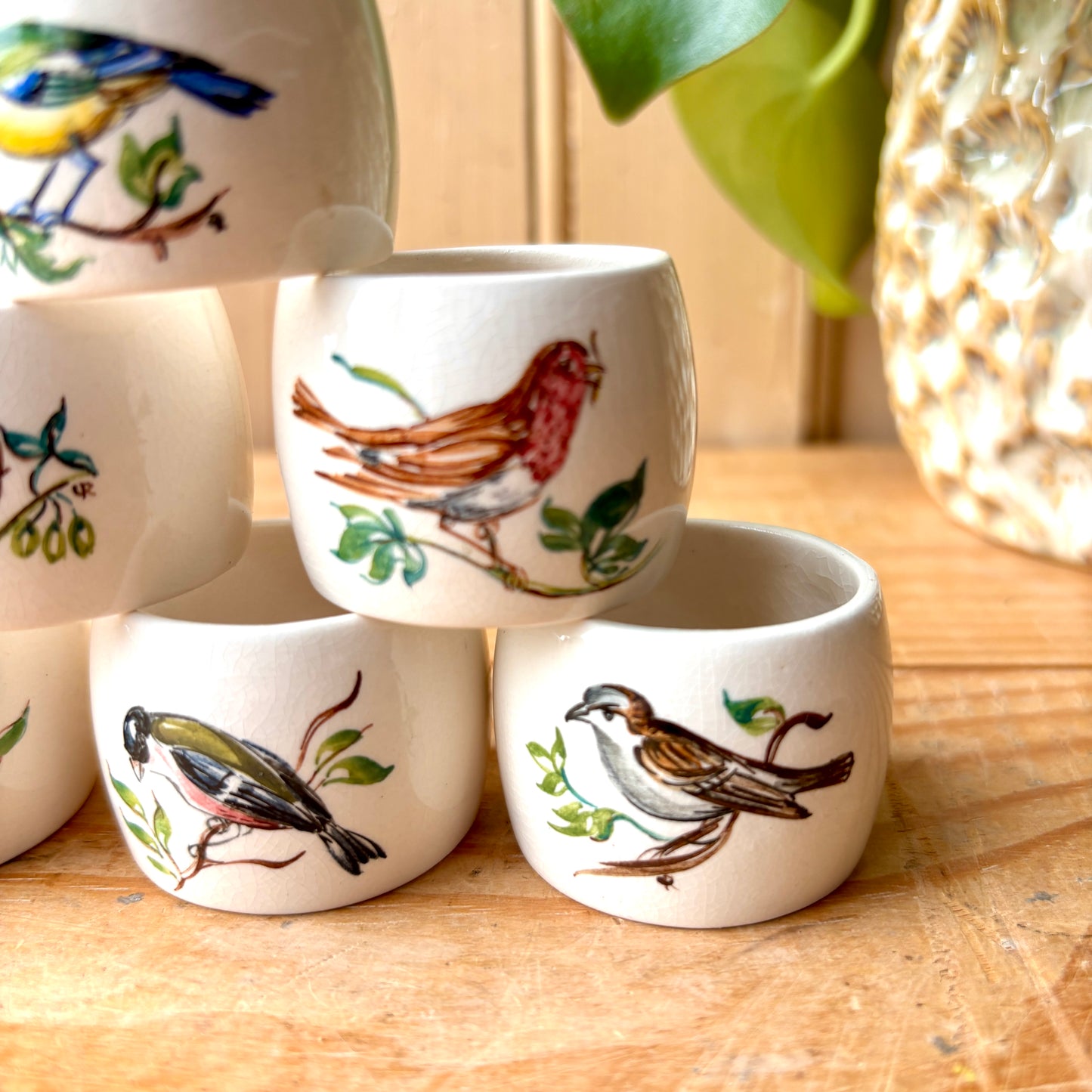 Vintage Boxed Set of Portmeirion Birds of Britian Napkin Rings