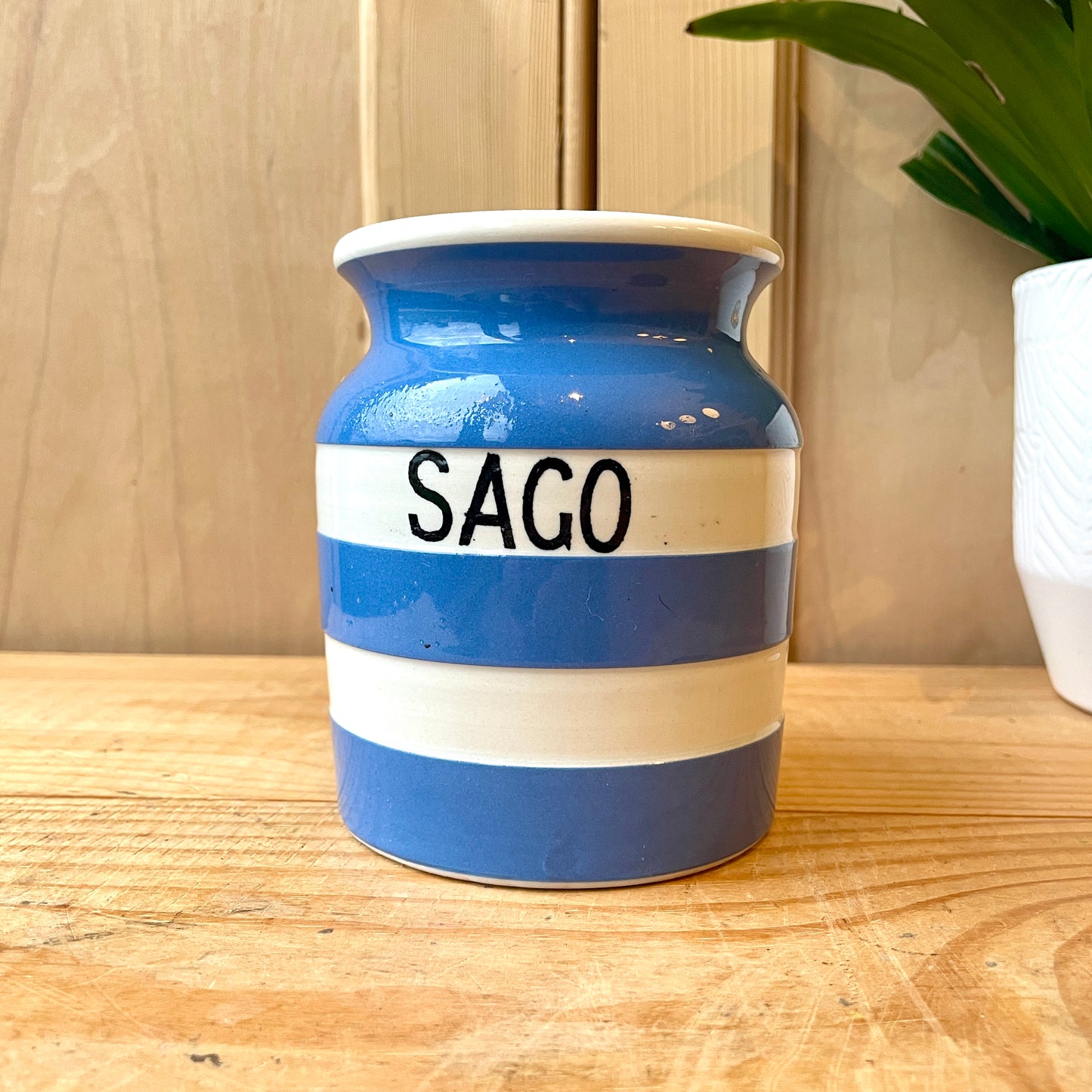 TG Green Blue and White Sago Canister