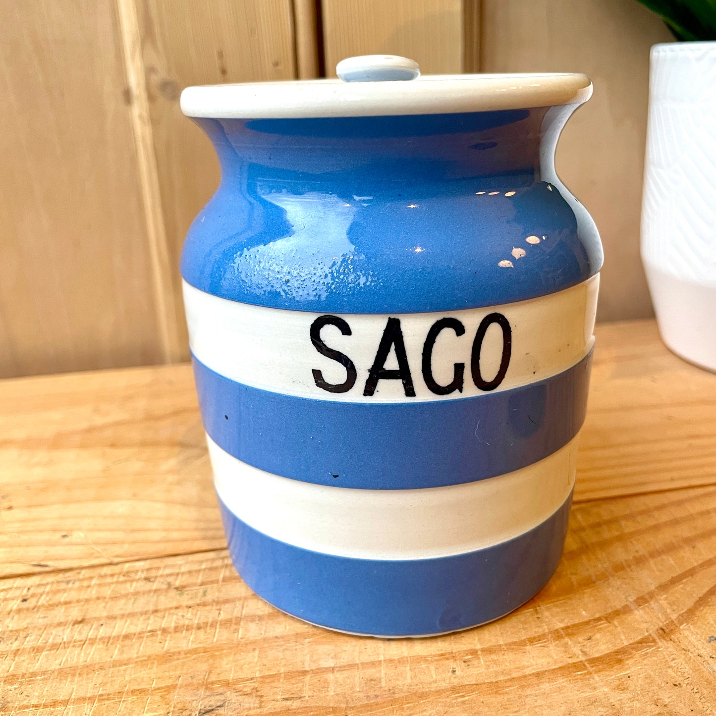 TG Green Blue and White Sago Canister
