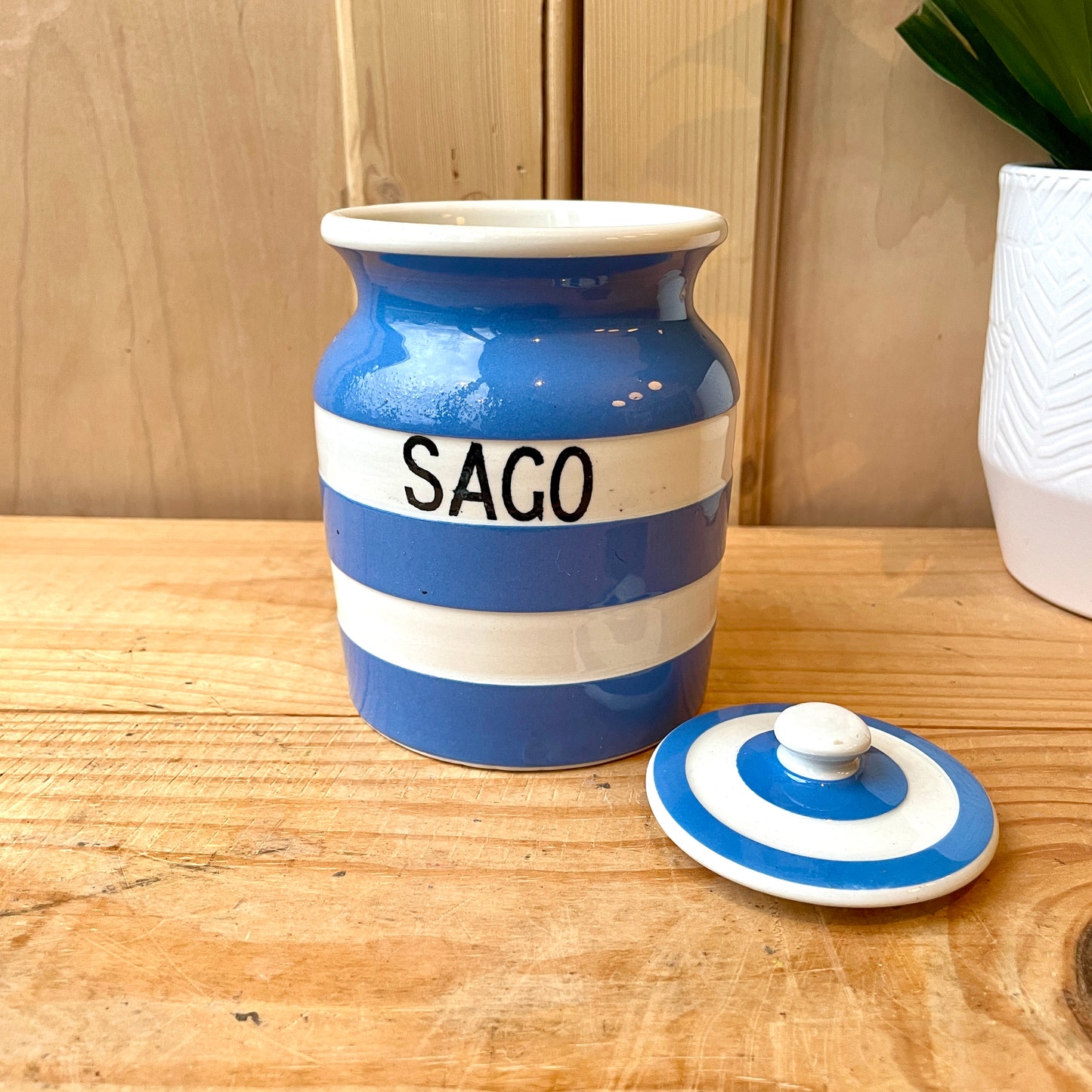 TG Green Blue and White Sago Canister
