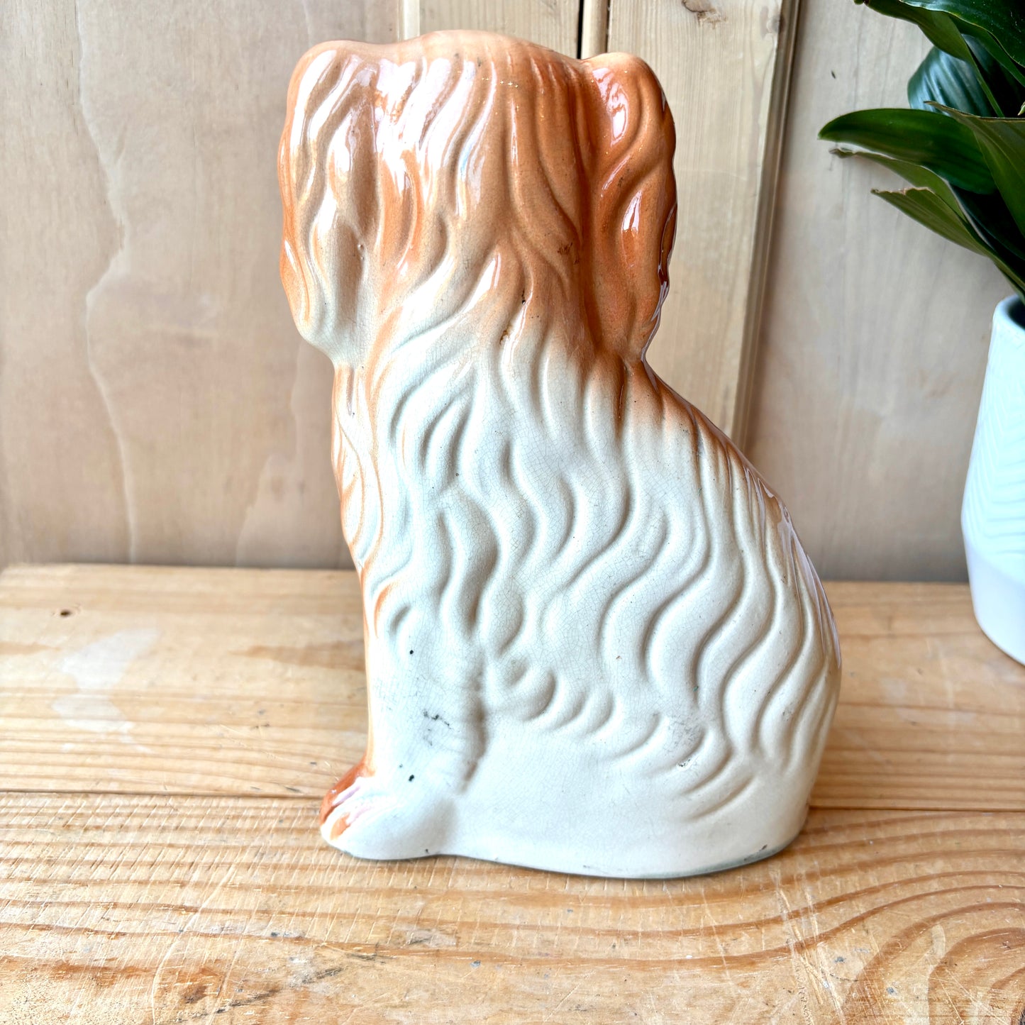 Staffordshire Flat Back Dog