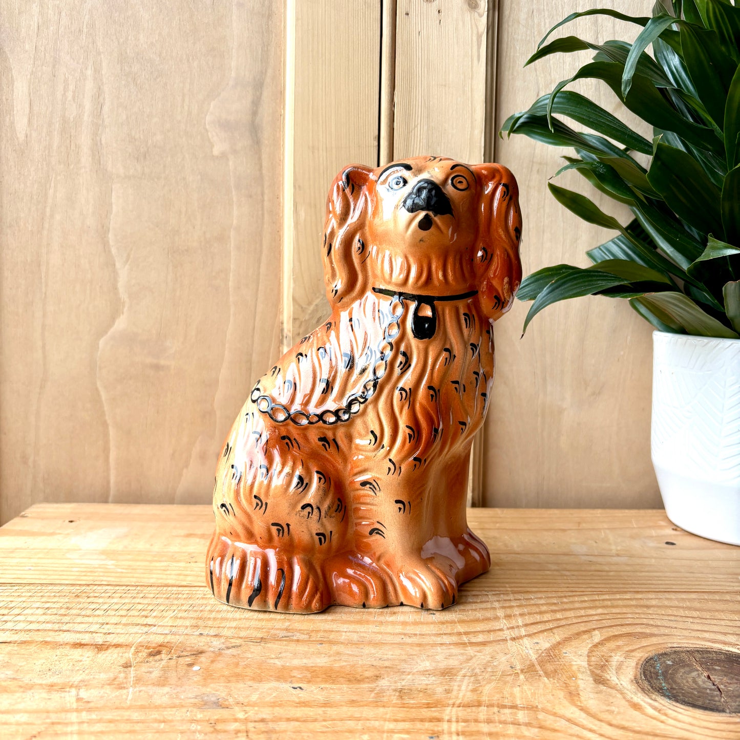 Staffordshire Flat Back Dog