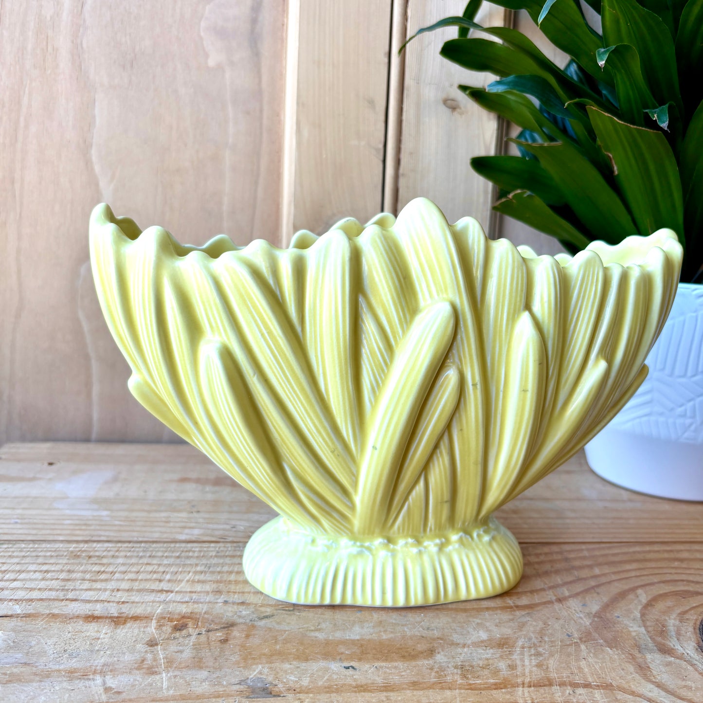 SylvaC Hyacinth mantle planter