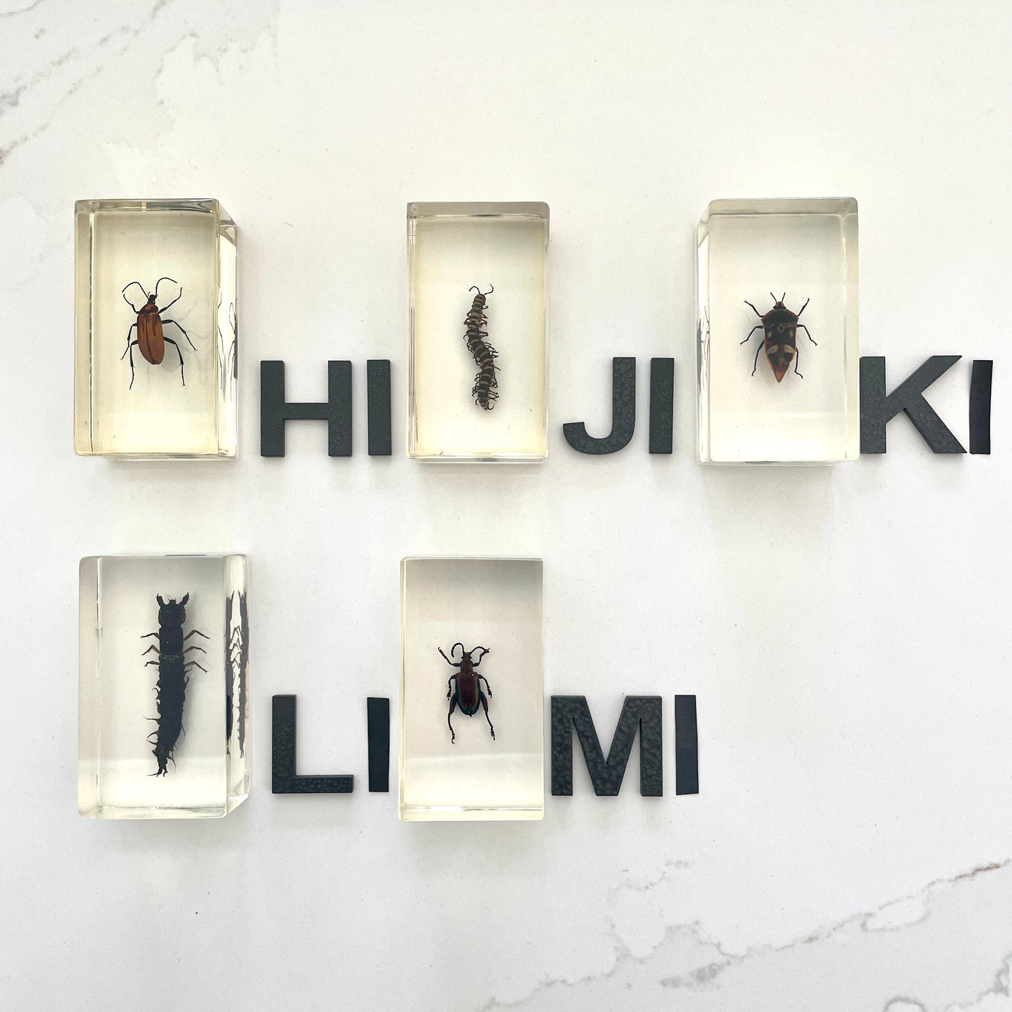 Vintage insect specimens