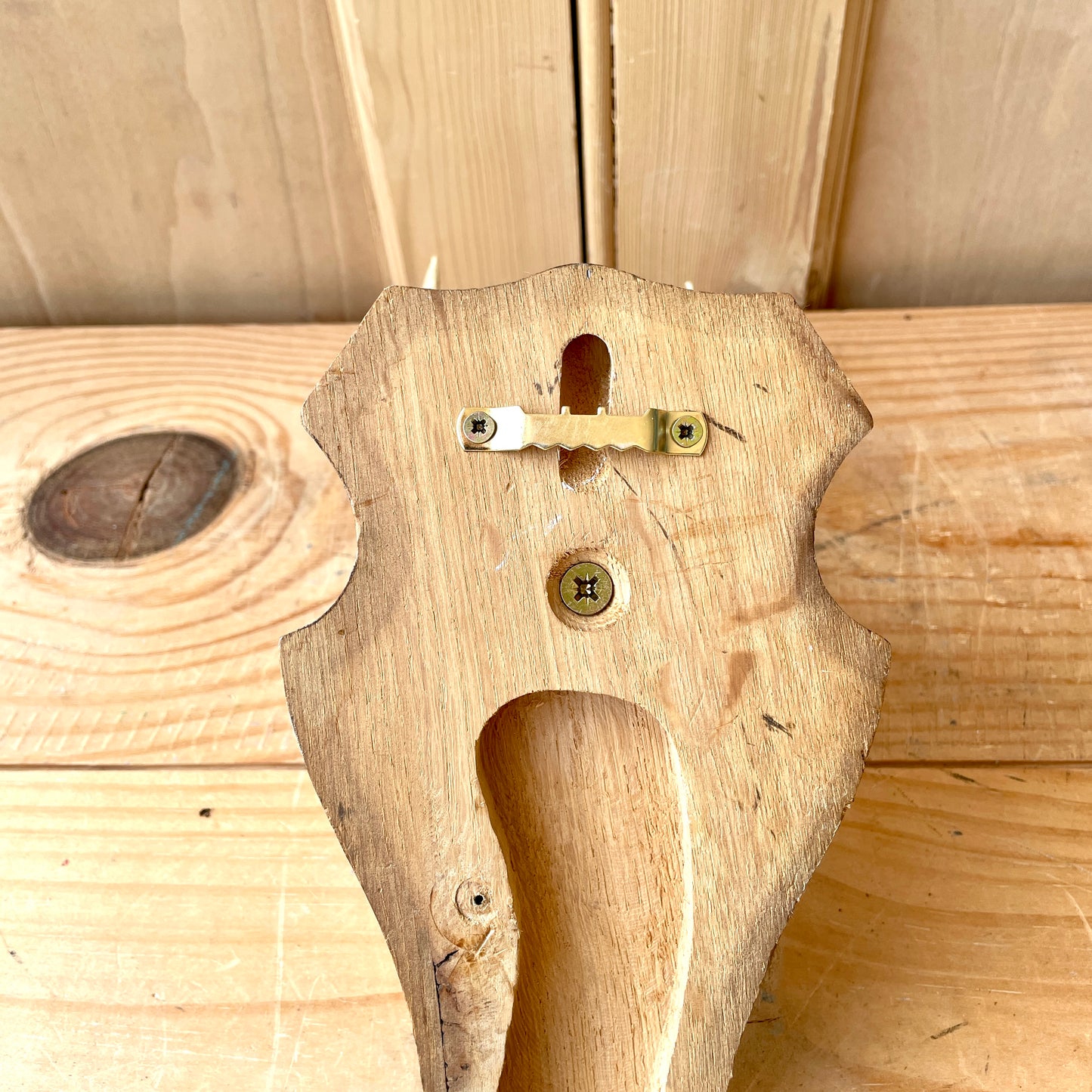 Vintage Mounted Roe Deer Antlers