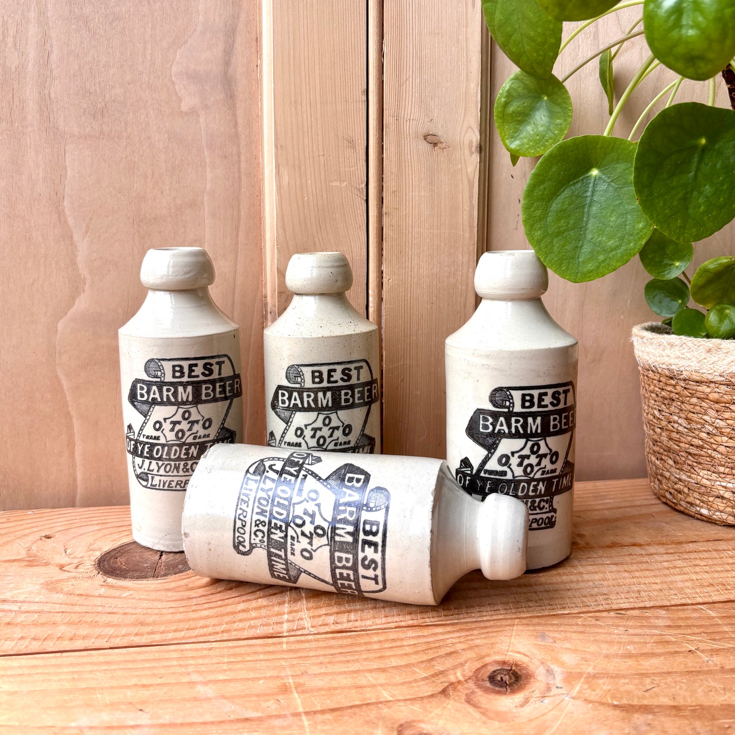 Antique Stone Ginger beer bottles
