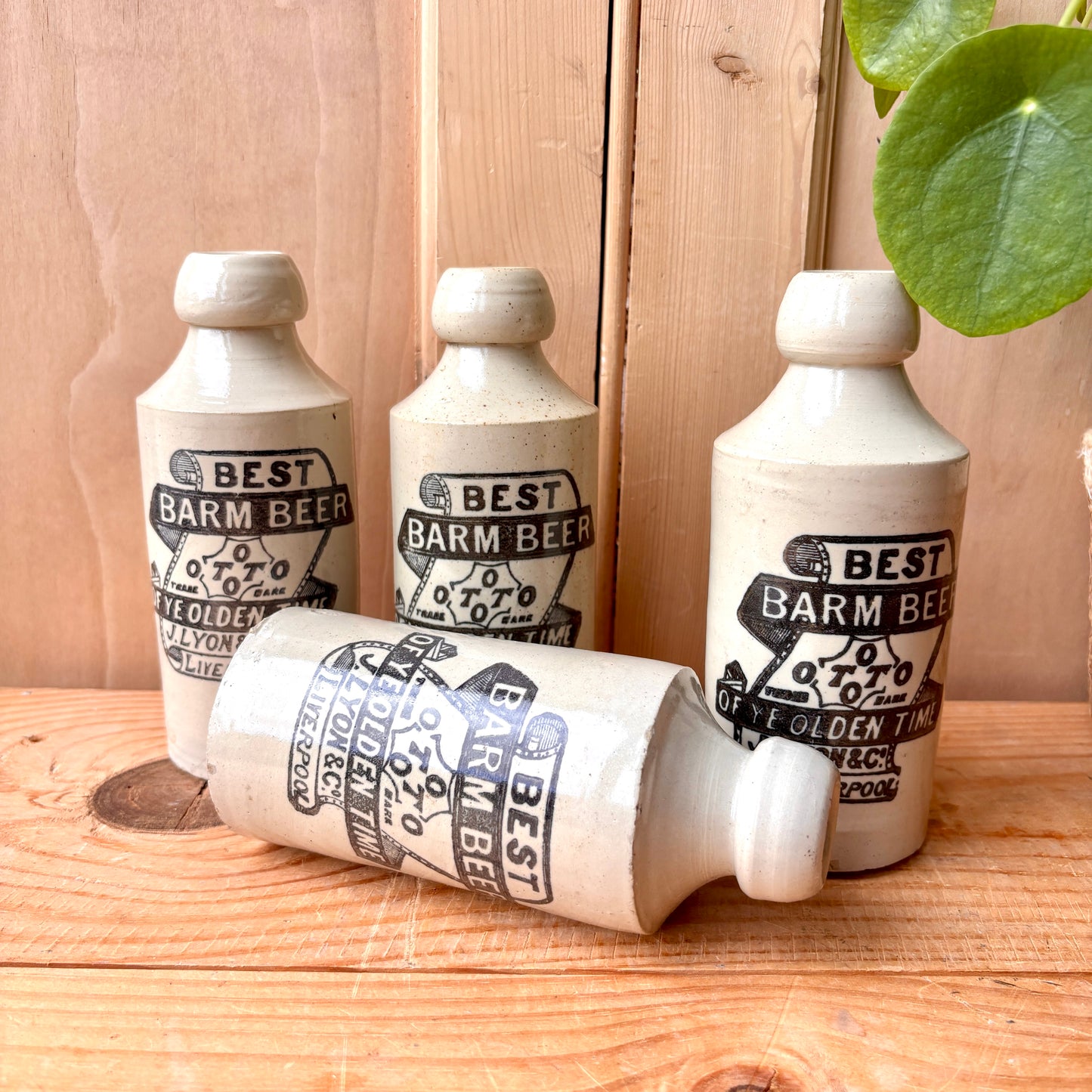 Antique Stone Ginger beer bottles