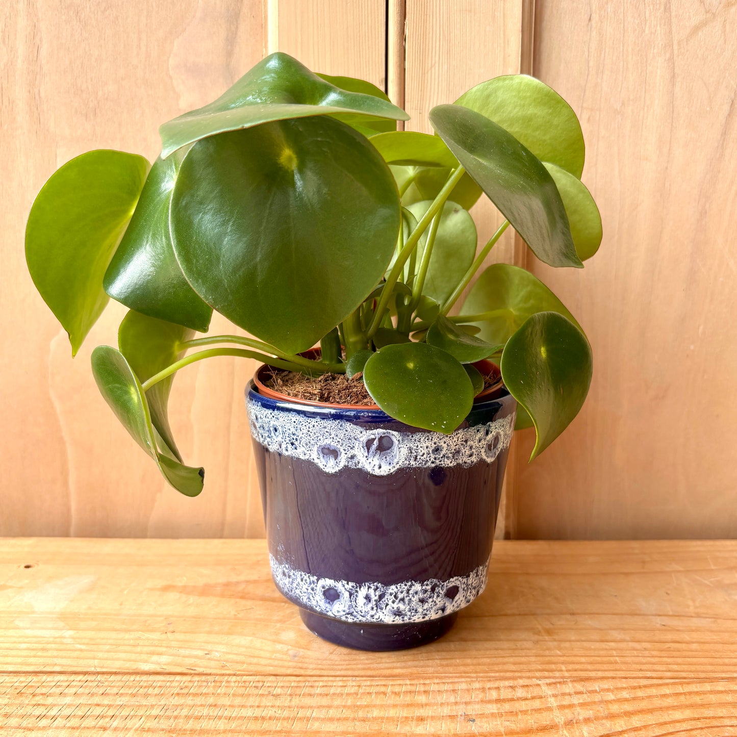 West German Jopeko Keramik Plant pot