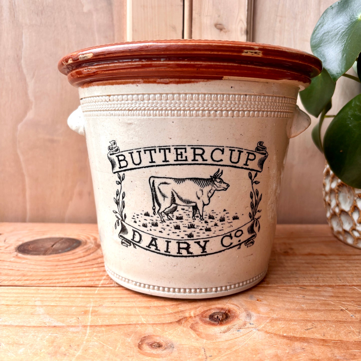 Antique Large Buttercup Dairy Co 5lb Stoneware Butter Crock