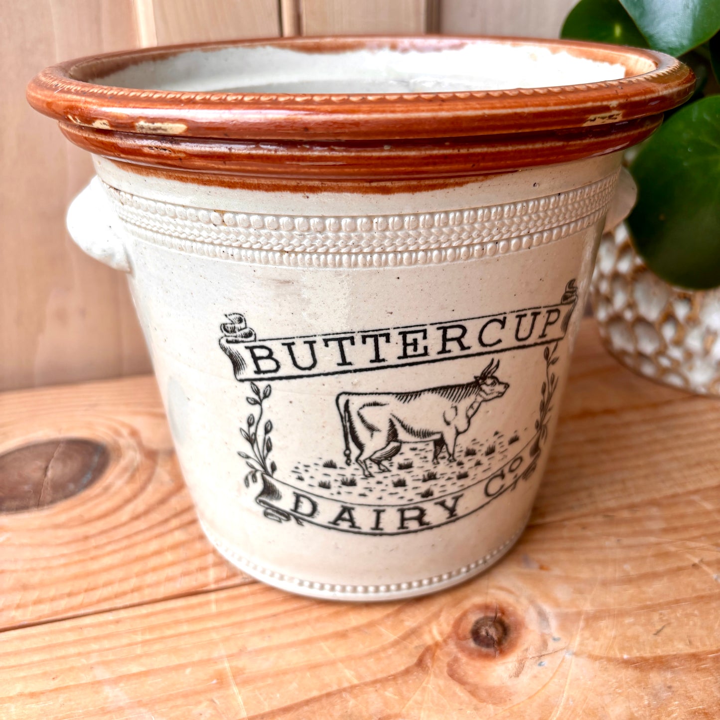 Antique Large Buttercup Dairy Co 5lb Stoneware Butter Crock