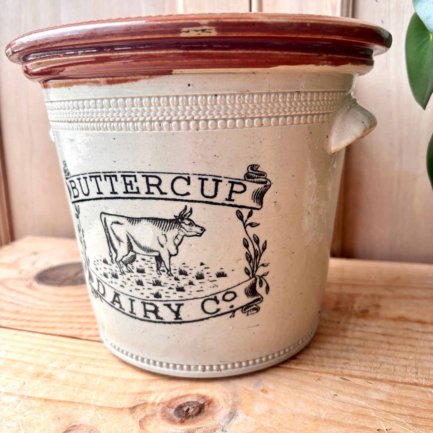 Antique Large Buttercup Dairy Co 5lb Stoneware Butter Crock