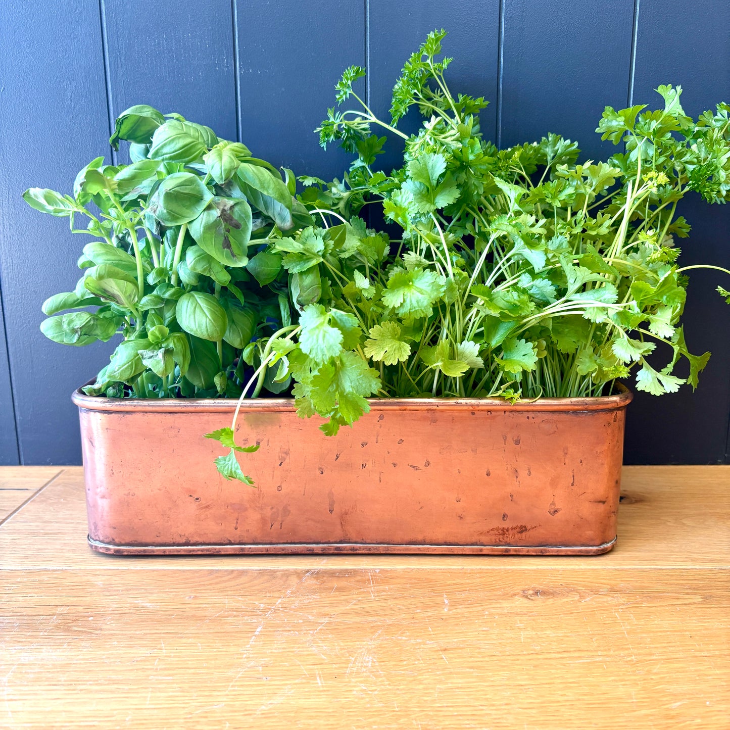Vintage Copper trough