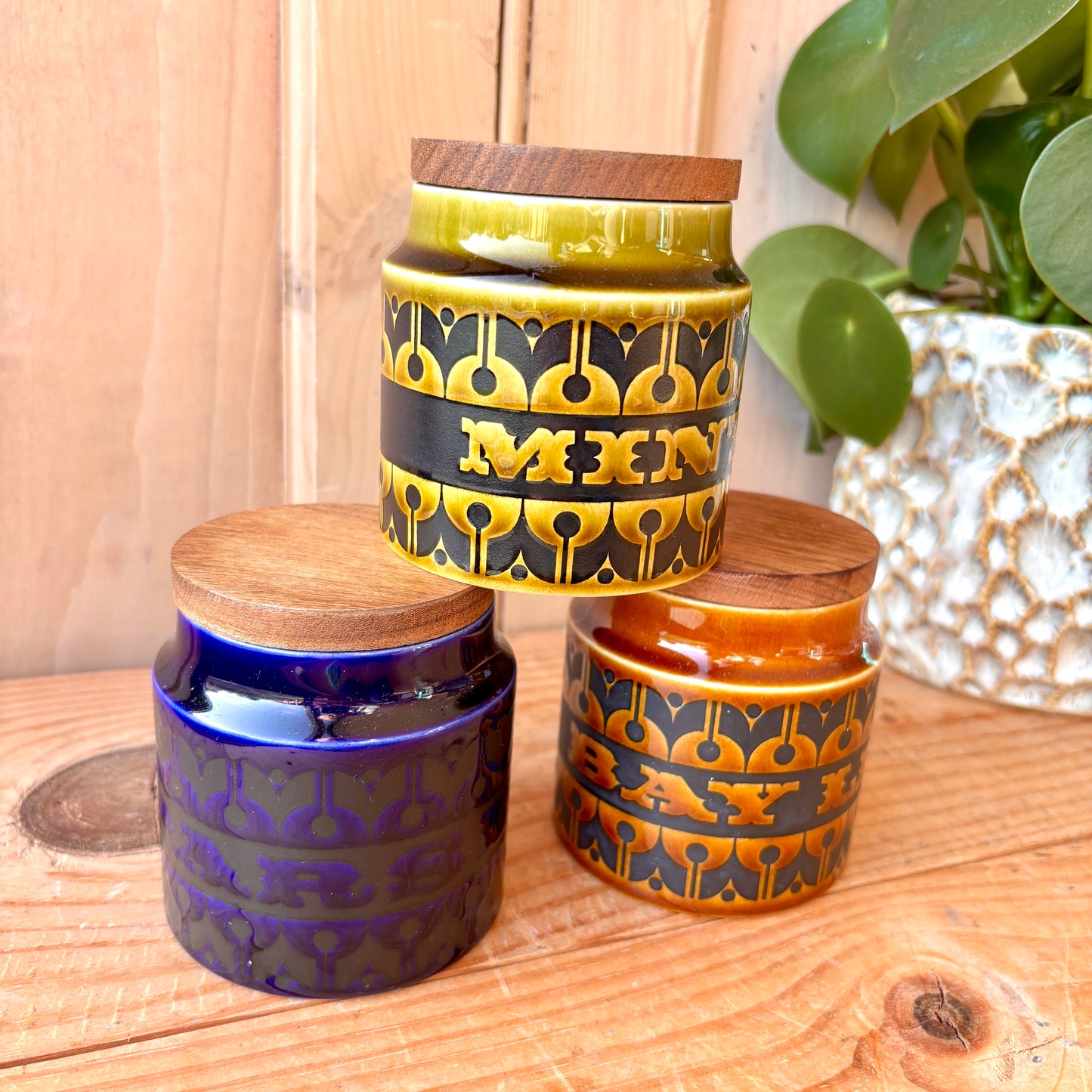 Set of three Hornsea Heirloom herb jars