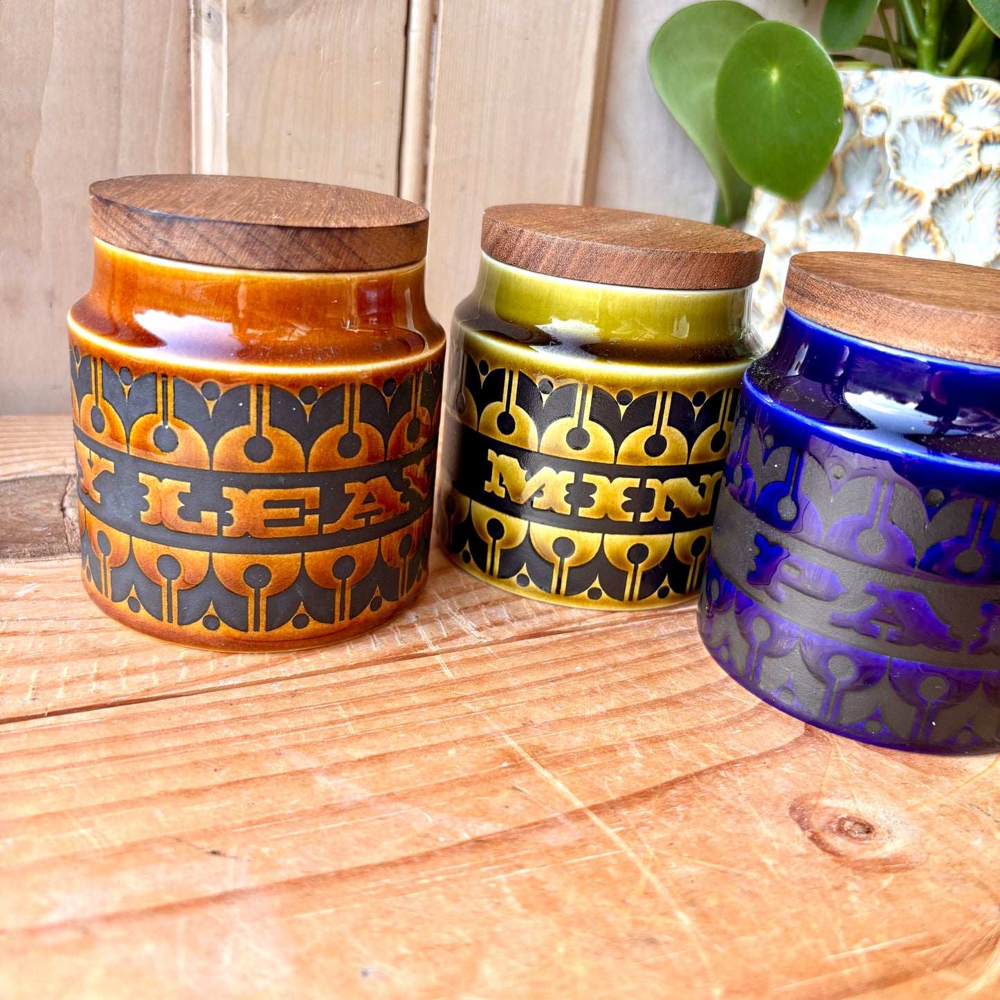 Set of three Hornsea Heirloom herb jars