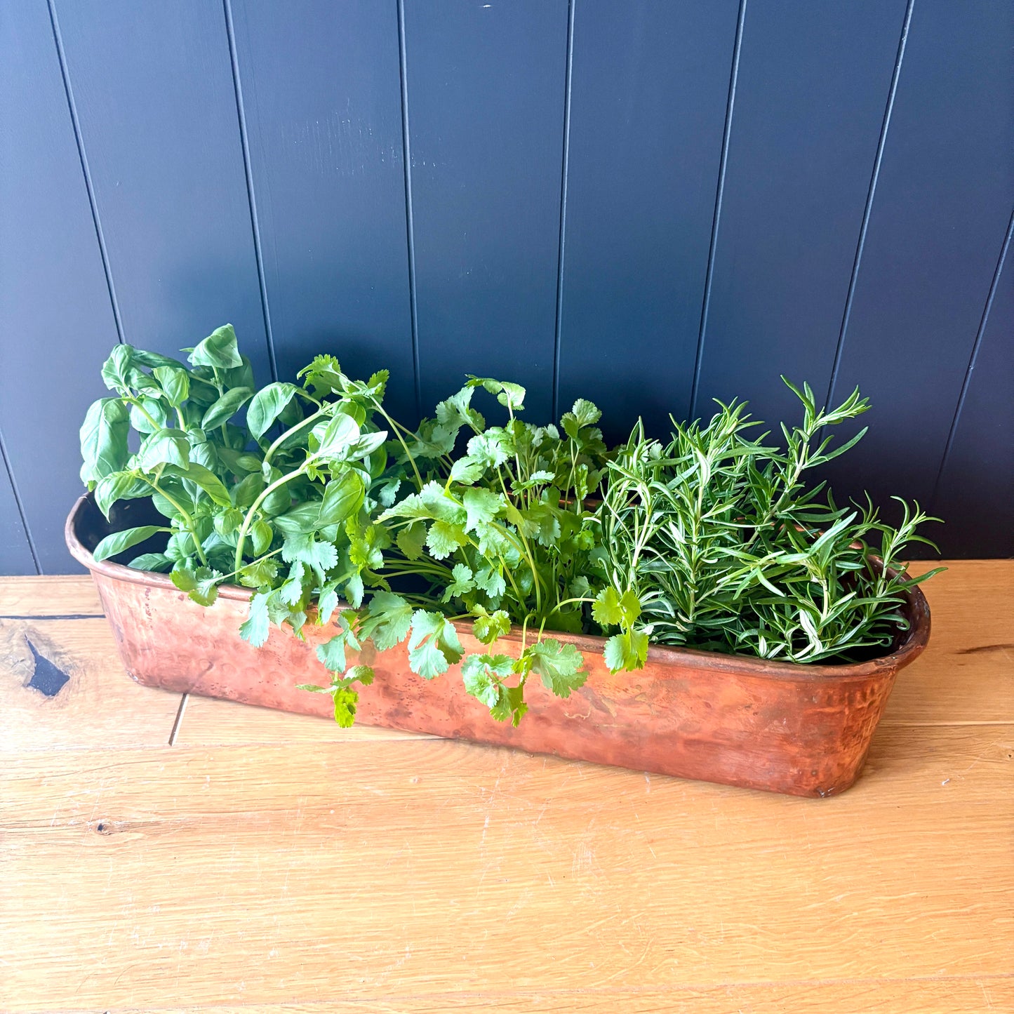 Vintage French Copper Trough Planter