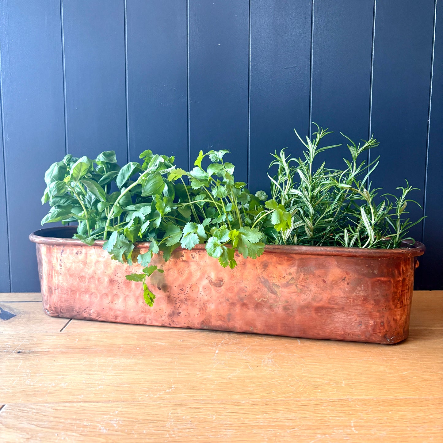 Vintage French Copper Trough Planter