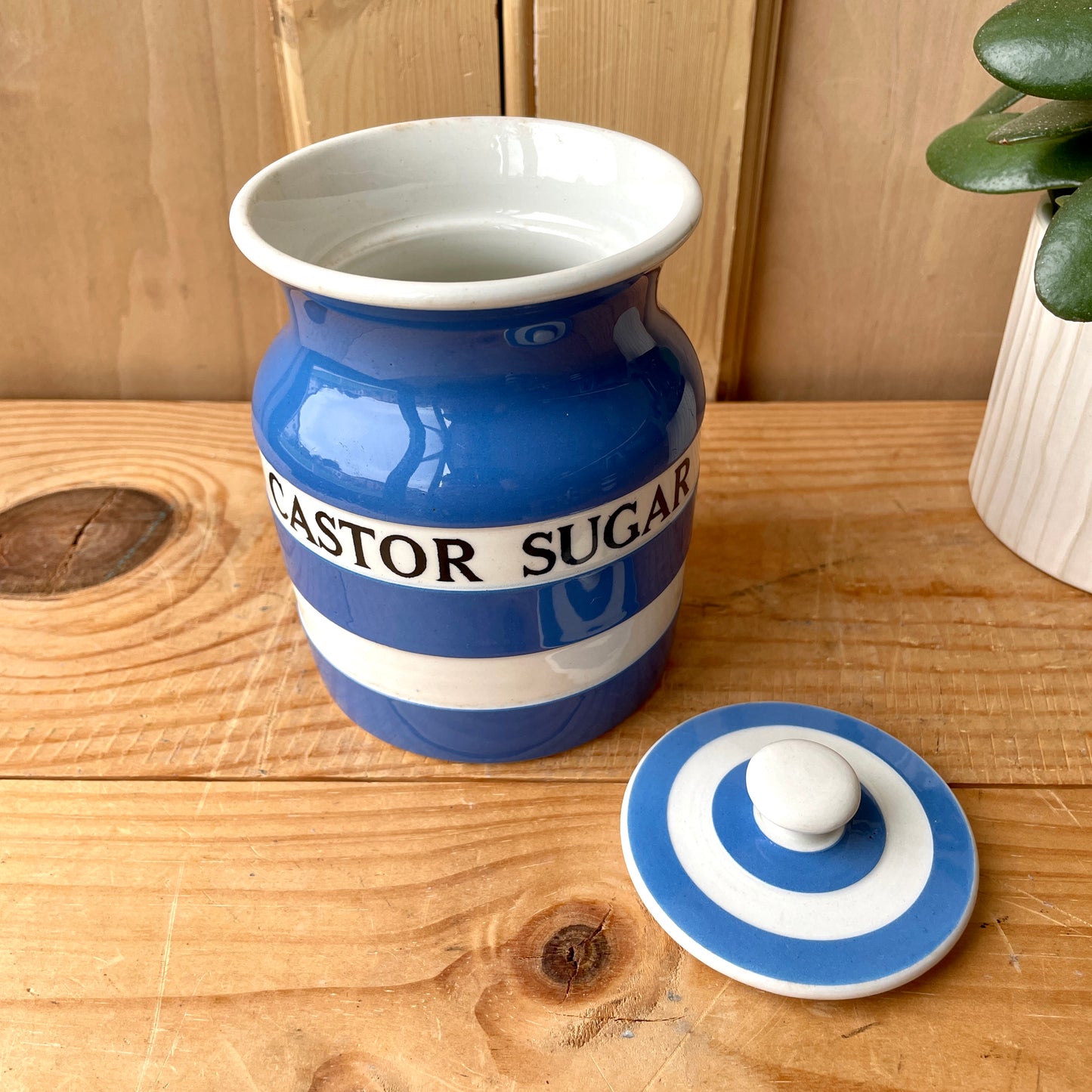 TG Green Blue and White Castor Sugar Canister