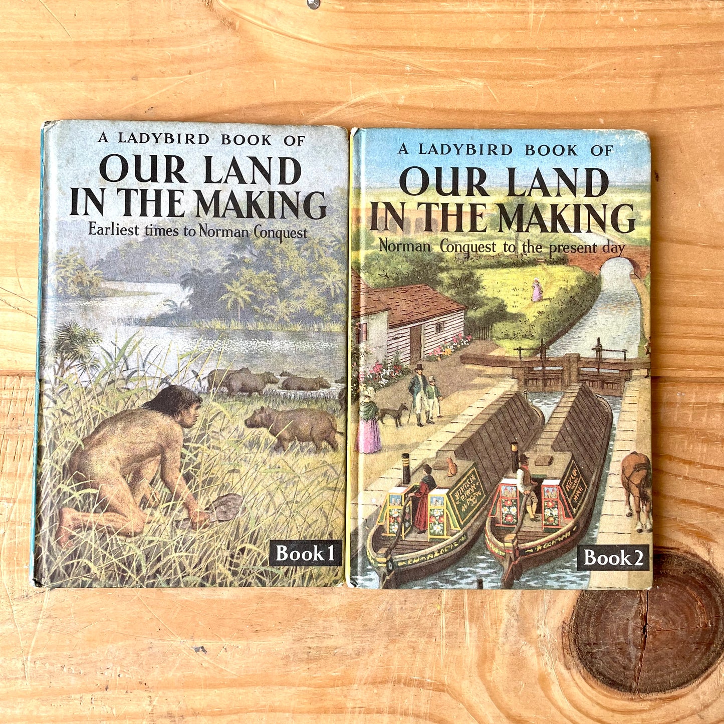 Ladybird books series 663 book 1&2