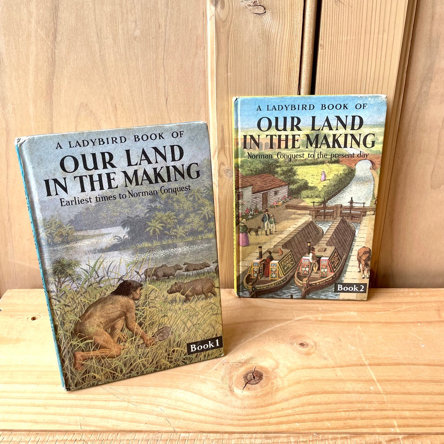 Ladybird books series 663 book 1&2