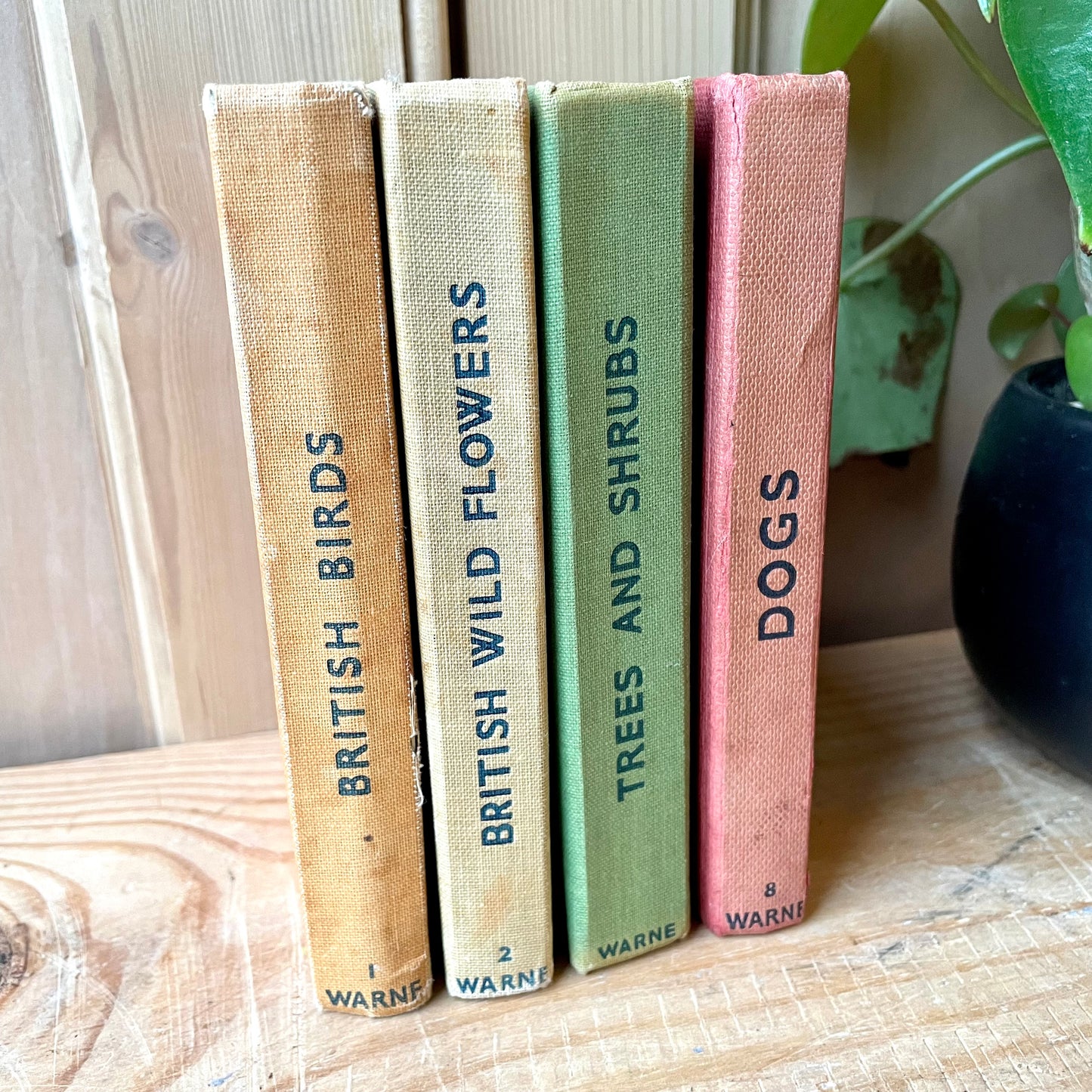 Rare Frist Edition Observer books