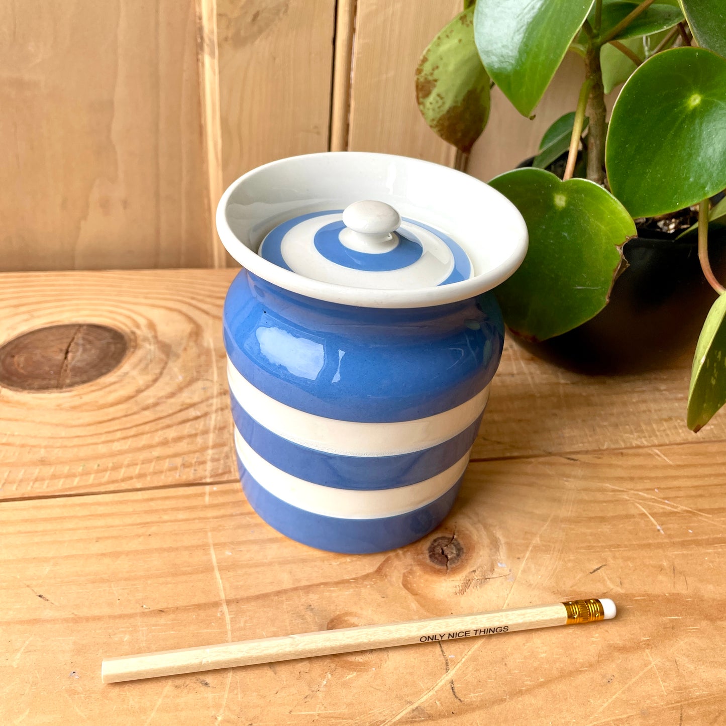 Vintage TG Green Blue and White 1930s Canister