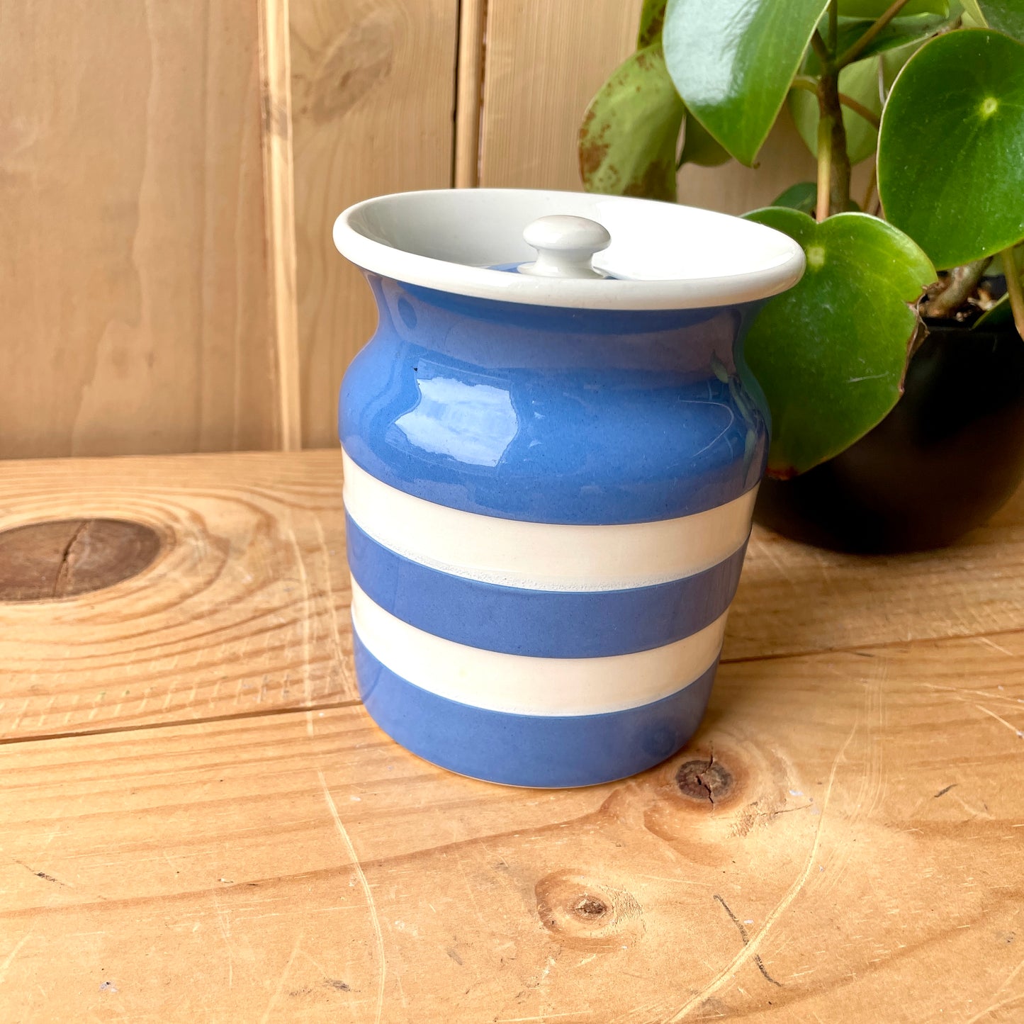 Vintage TG Green Blue and White 1930s Canister