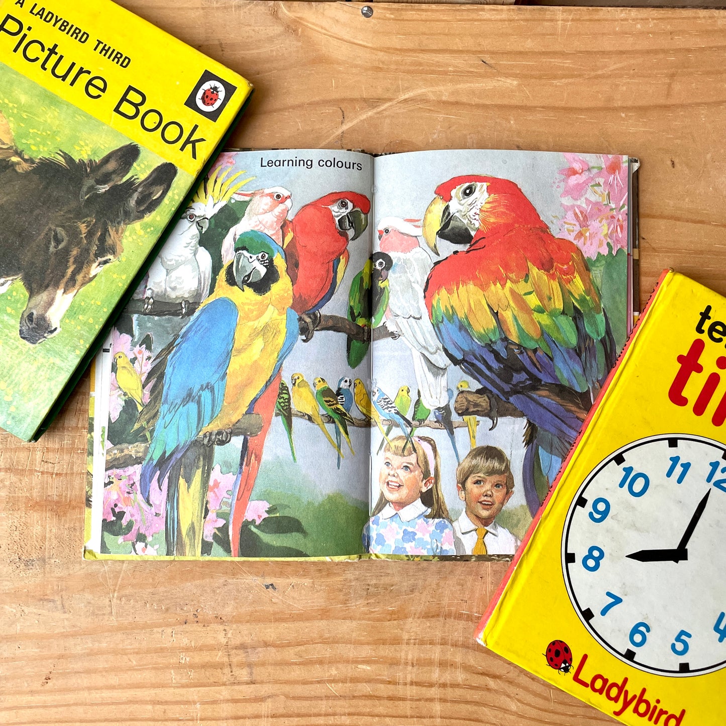 3 book set of Ladybird Picture books.