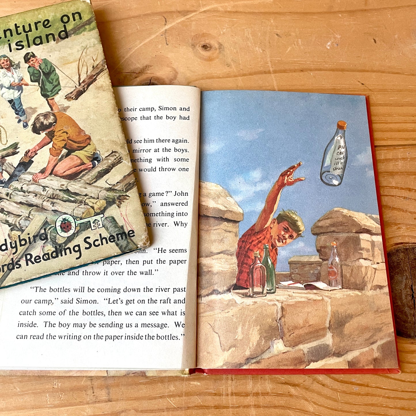 Vintage Ladybird Key Words books 10a & 10b