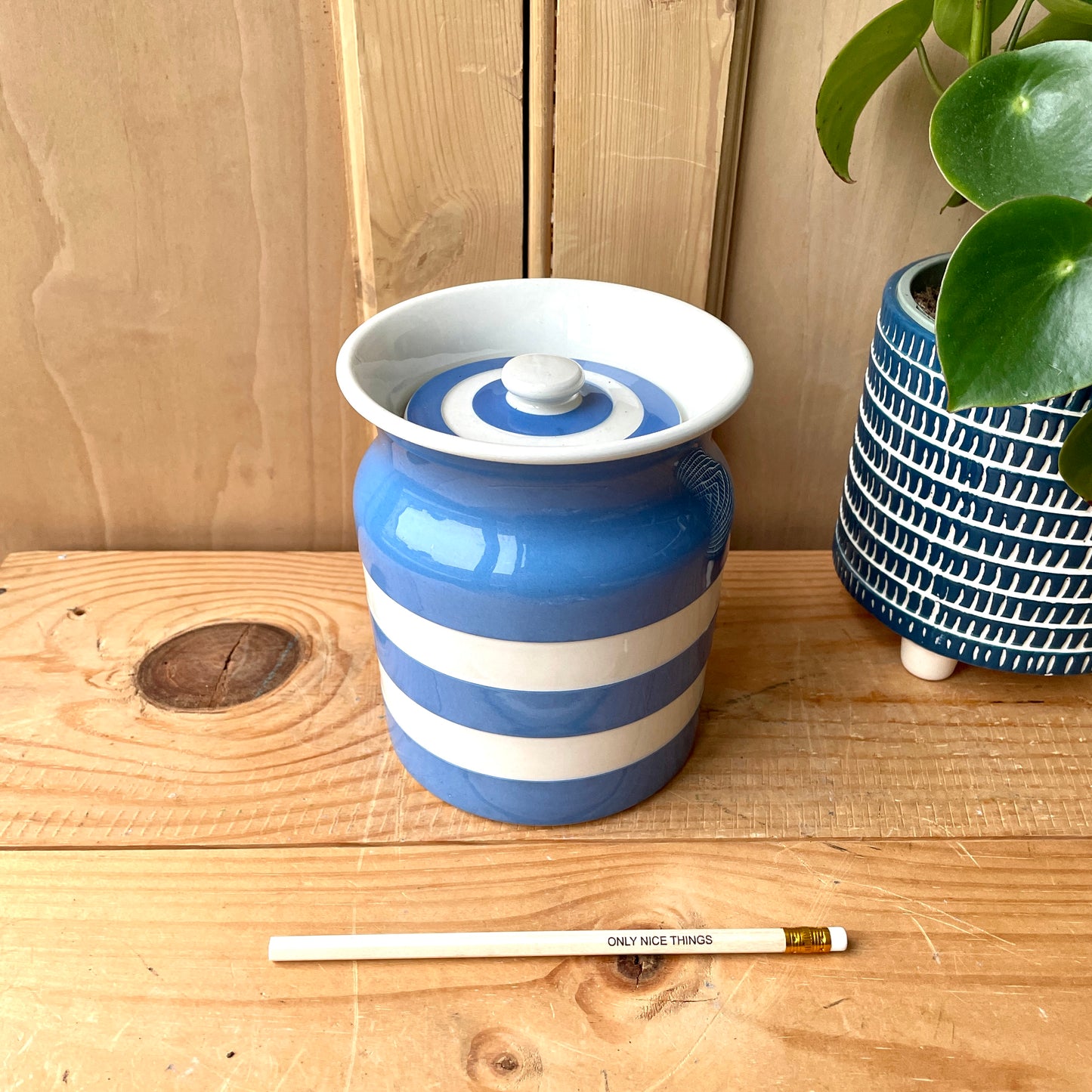 Vintage Large TG Green Blue and White 1930s Canister