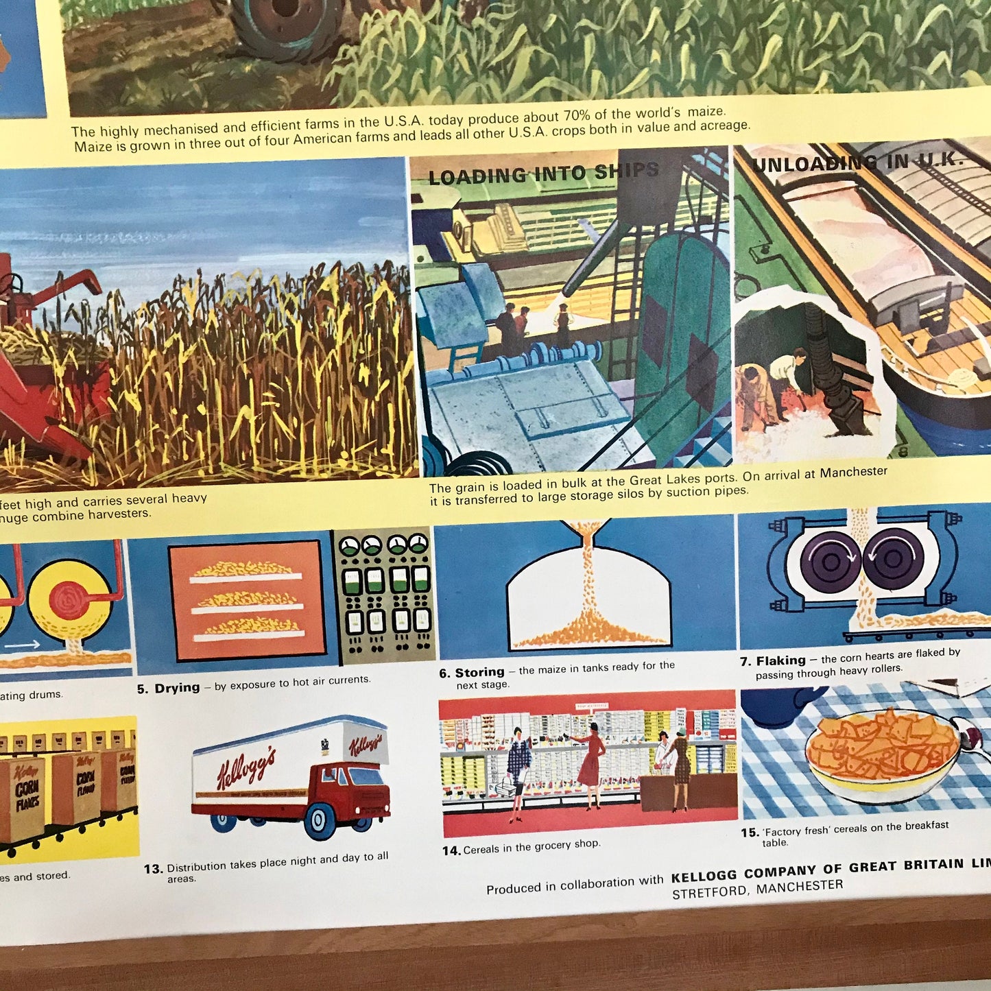 Vintage educational posters: The Story of Maize