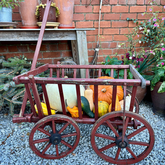 Antique French dog cart filled with pumpkins.