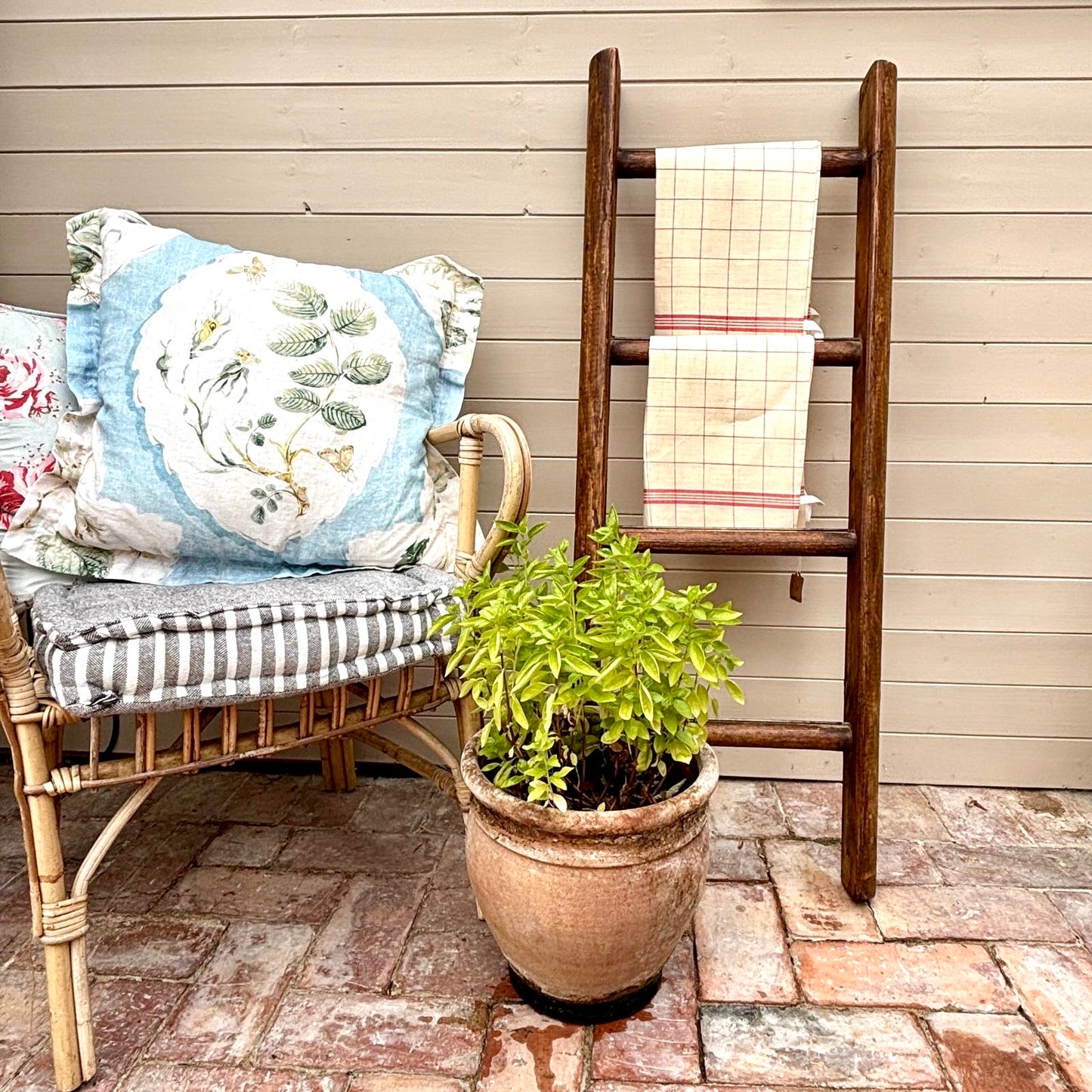 Decorative Wooden Ladders