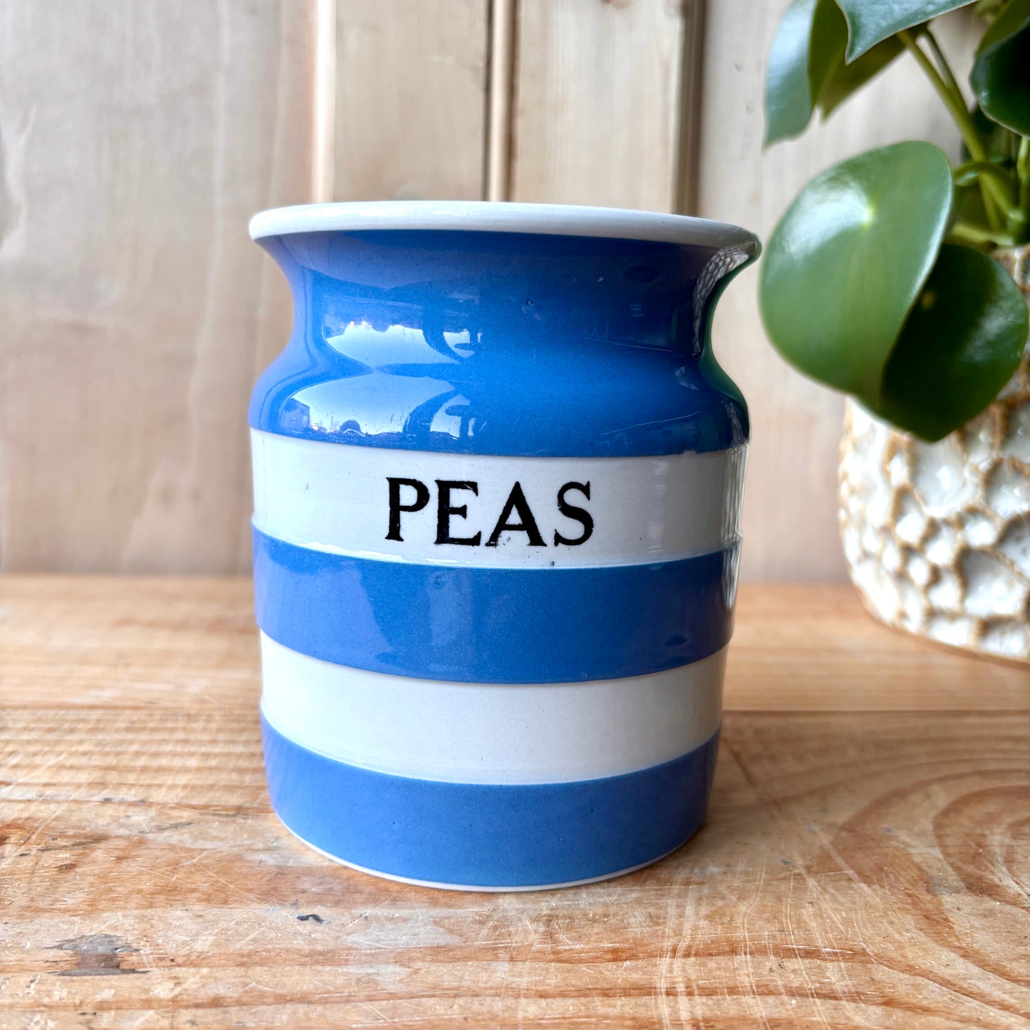Vintage TG Green Blue and White Peas Canister
