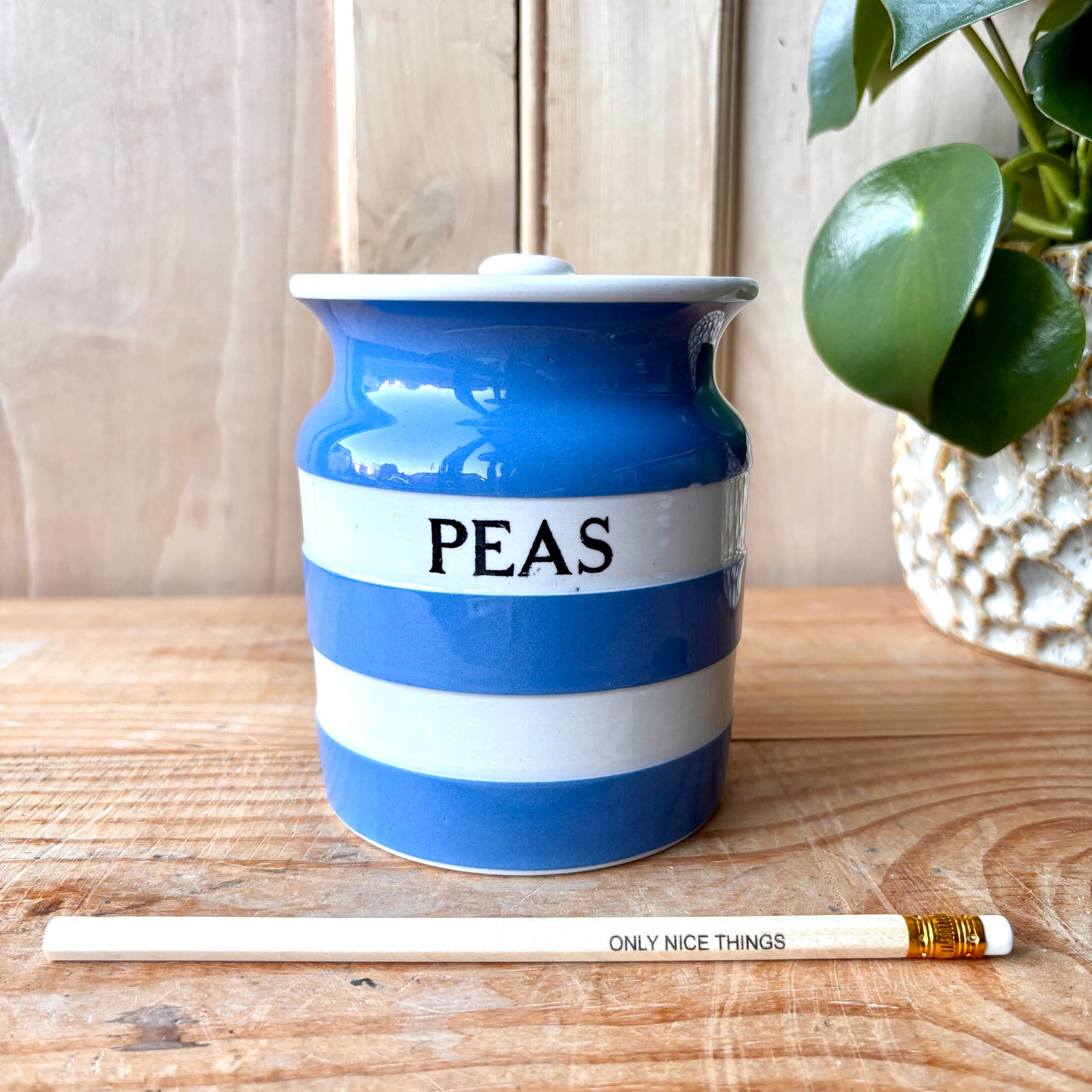 Vintage TG Green Blue and White Peas Canister