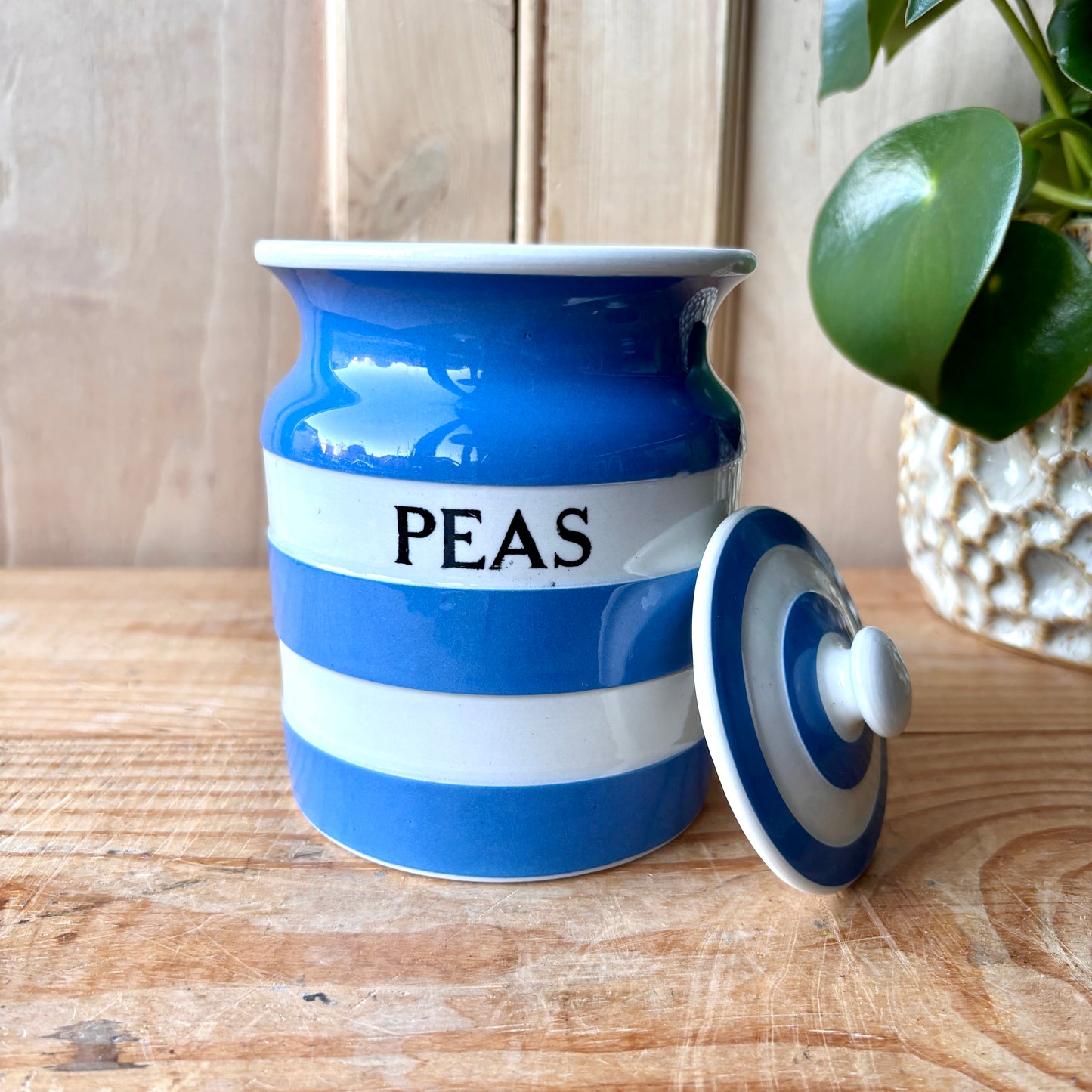 Vintage TG Green Blue and White Peas Canister