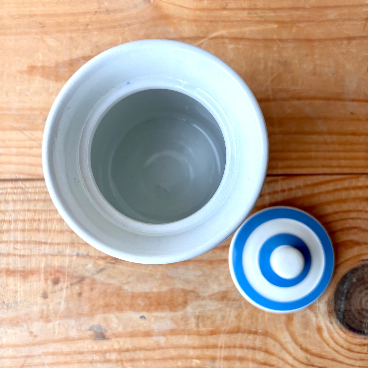 Vintage TG Green Blue and White Peas Canister