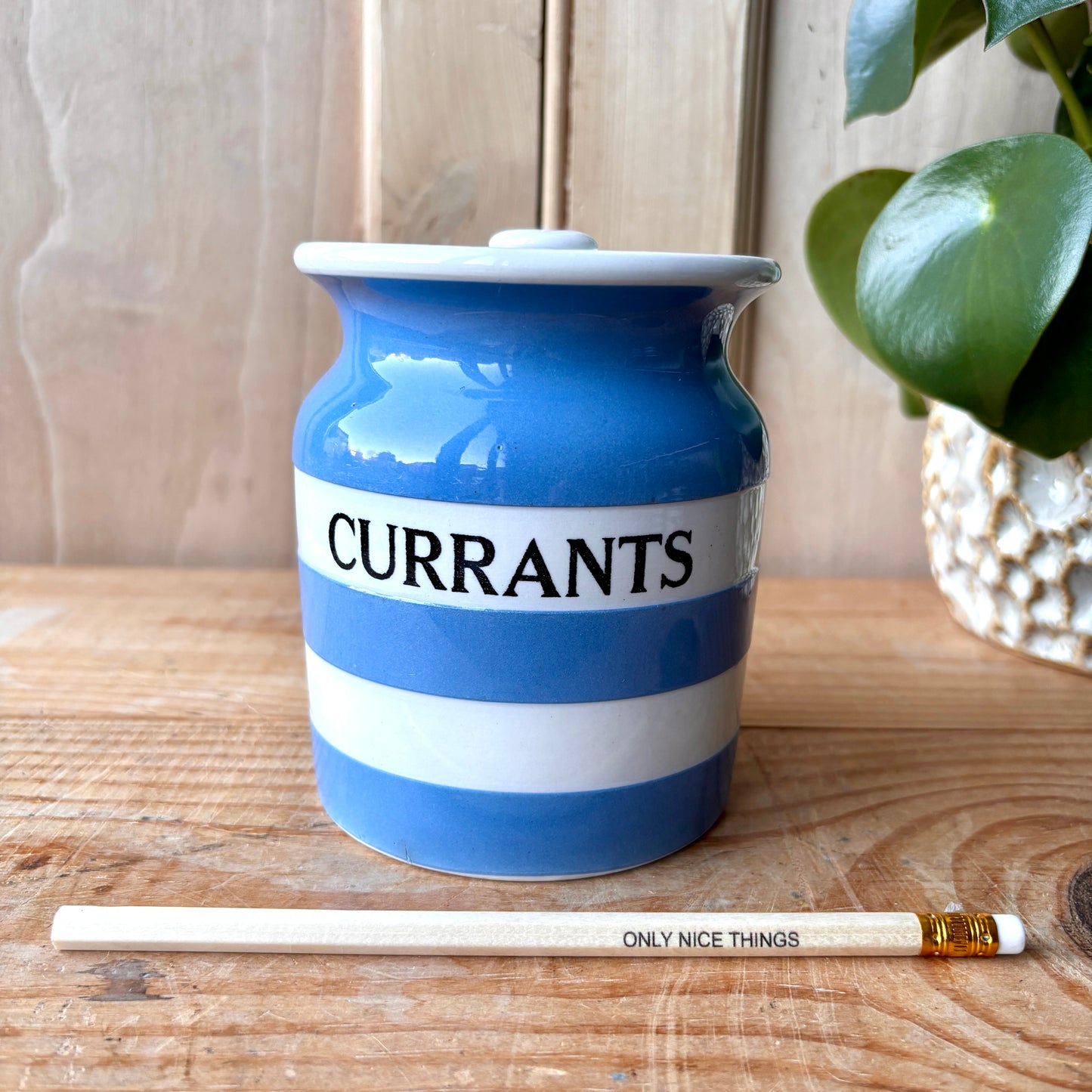 Vintage TG Green Blue and White Currants Canister