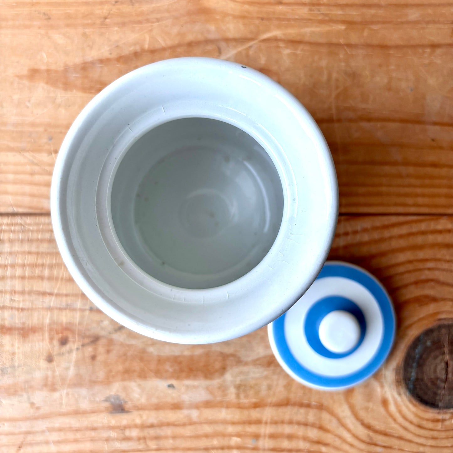 Vintage TG Green Blue and White Currants Canister
