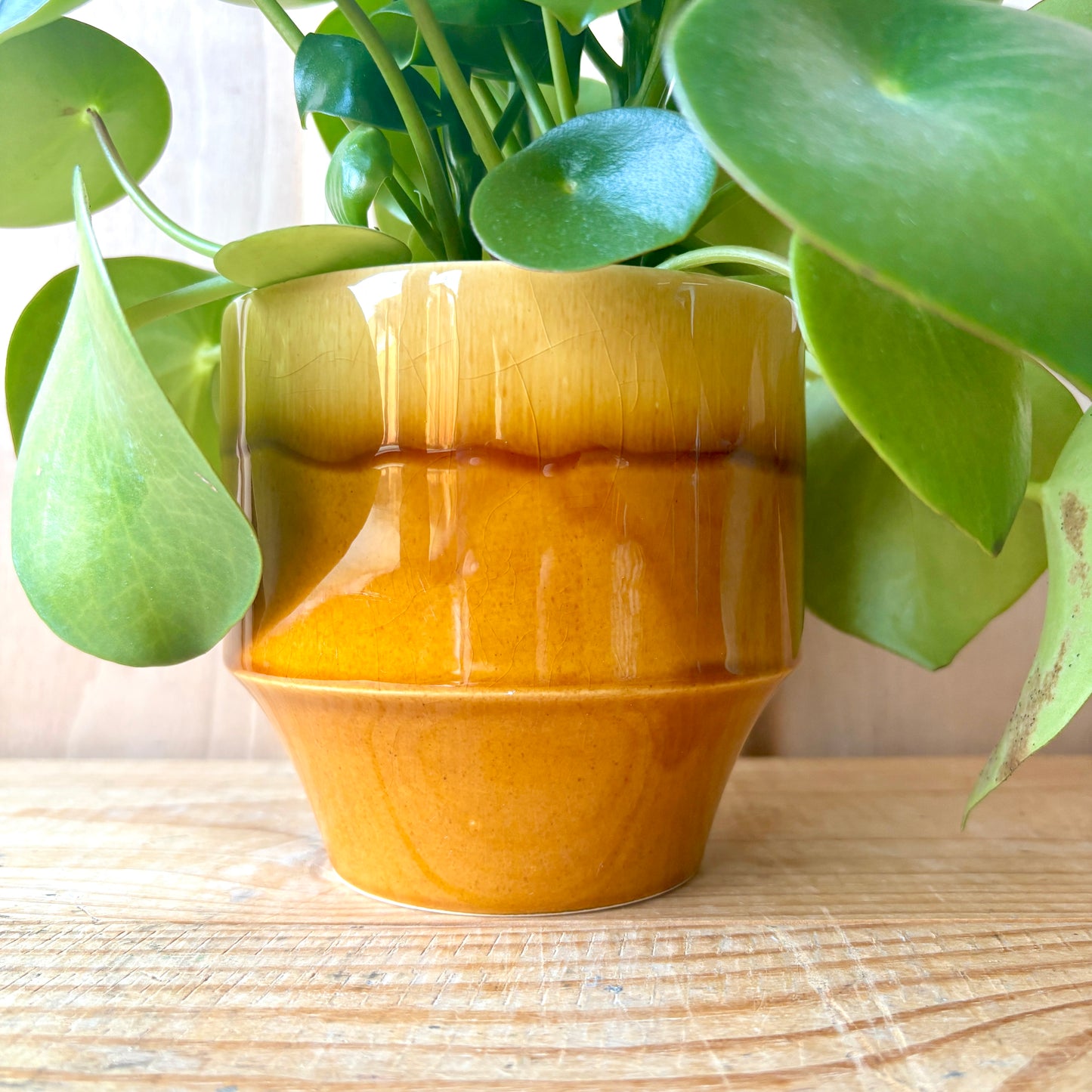 Rare Hornsea Tempo plant pot designed by John Clappison