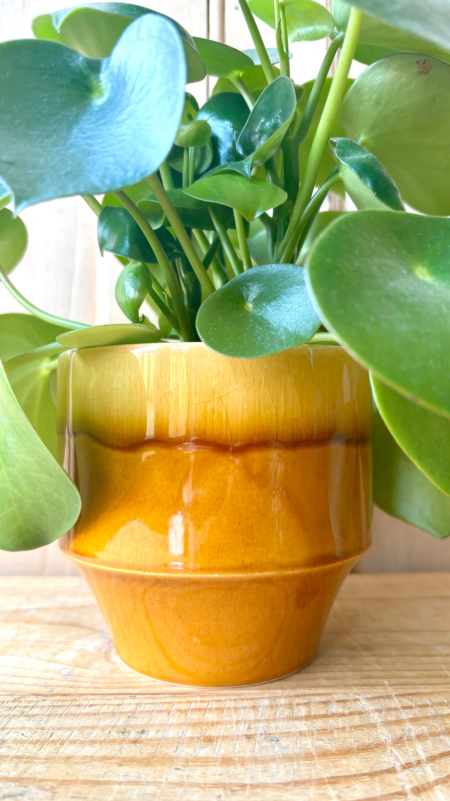 Rare Hornsea Tempo plant pot designed by John Clappison