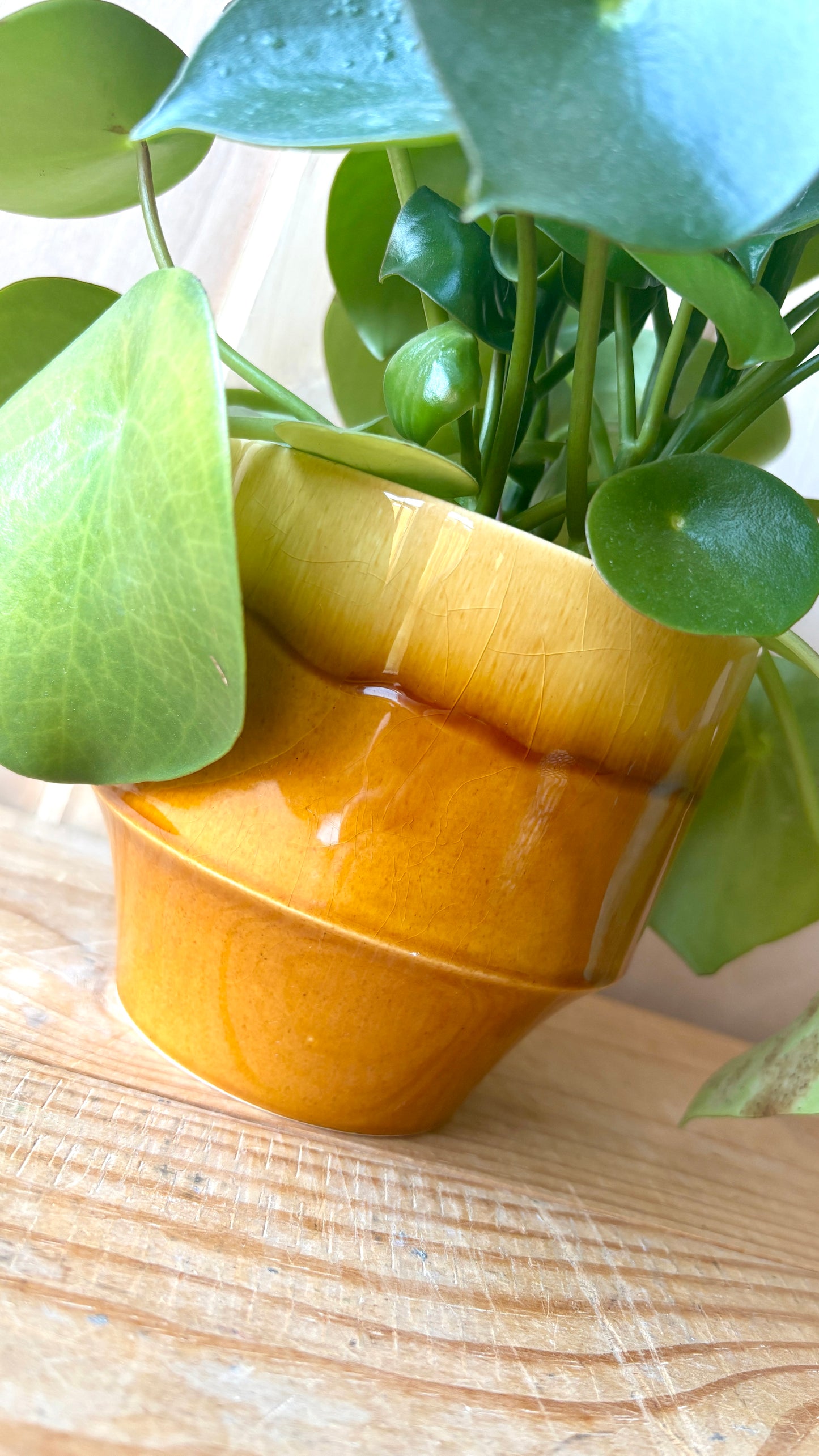 Rare Hornsea Tempo plant pot designed by John Clappison