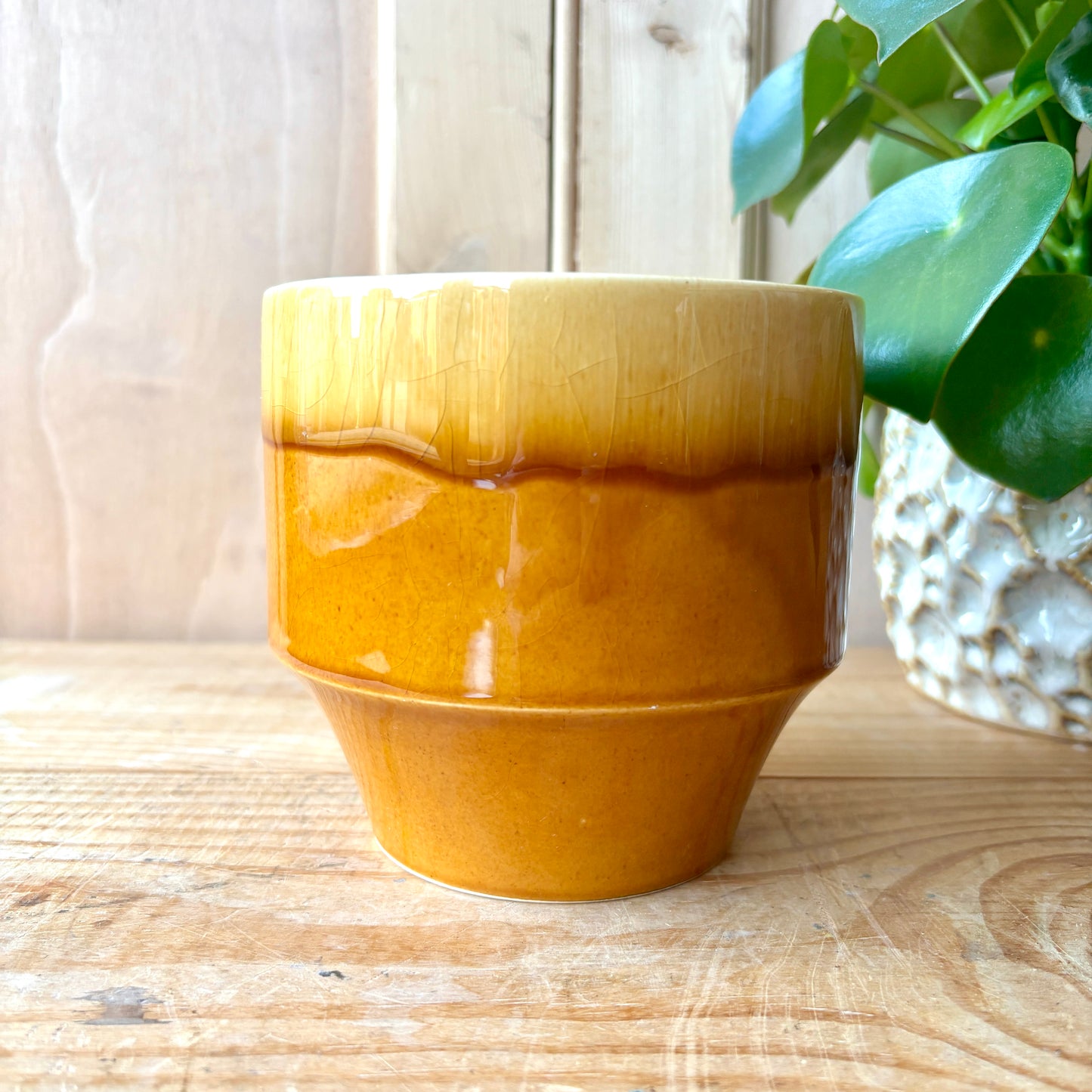 Rare Hornsea Tempo plant pot designed by John Clappison