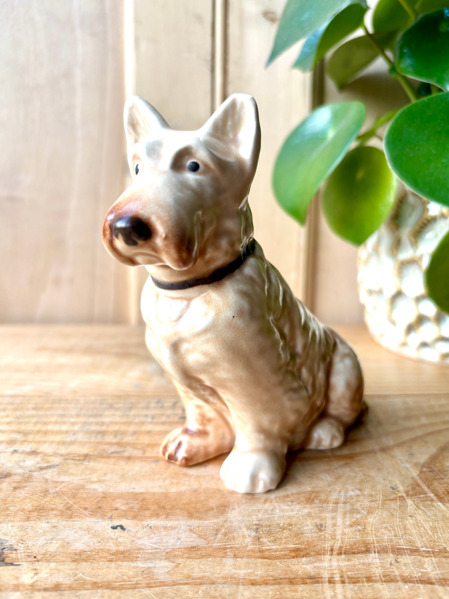 SylvaC Mac Scottie model 1205