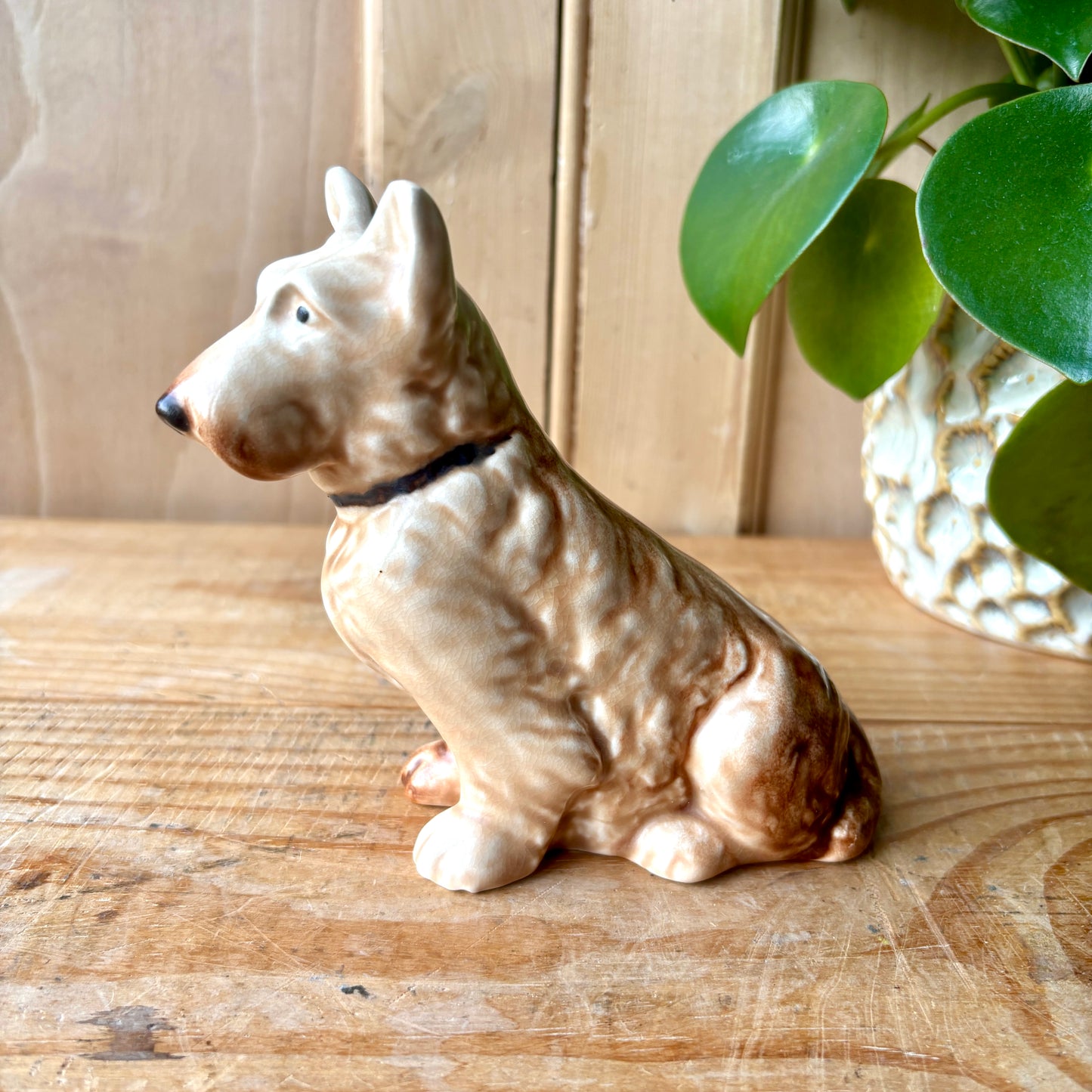 SylvaC Mac Scottie model 1205