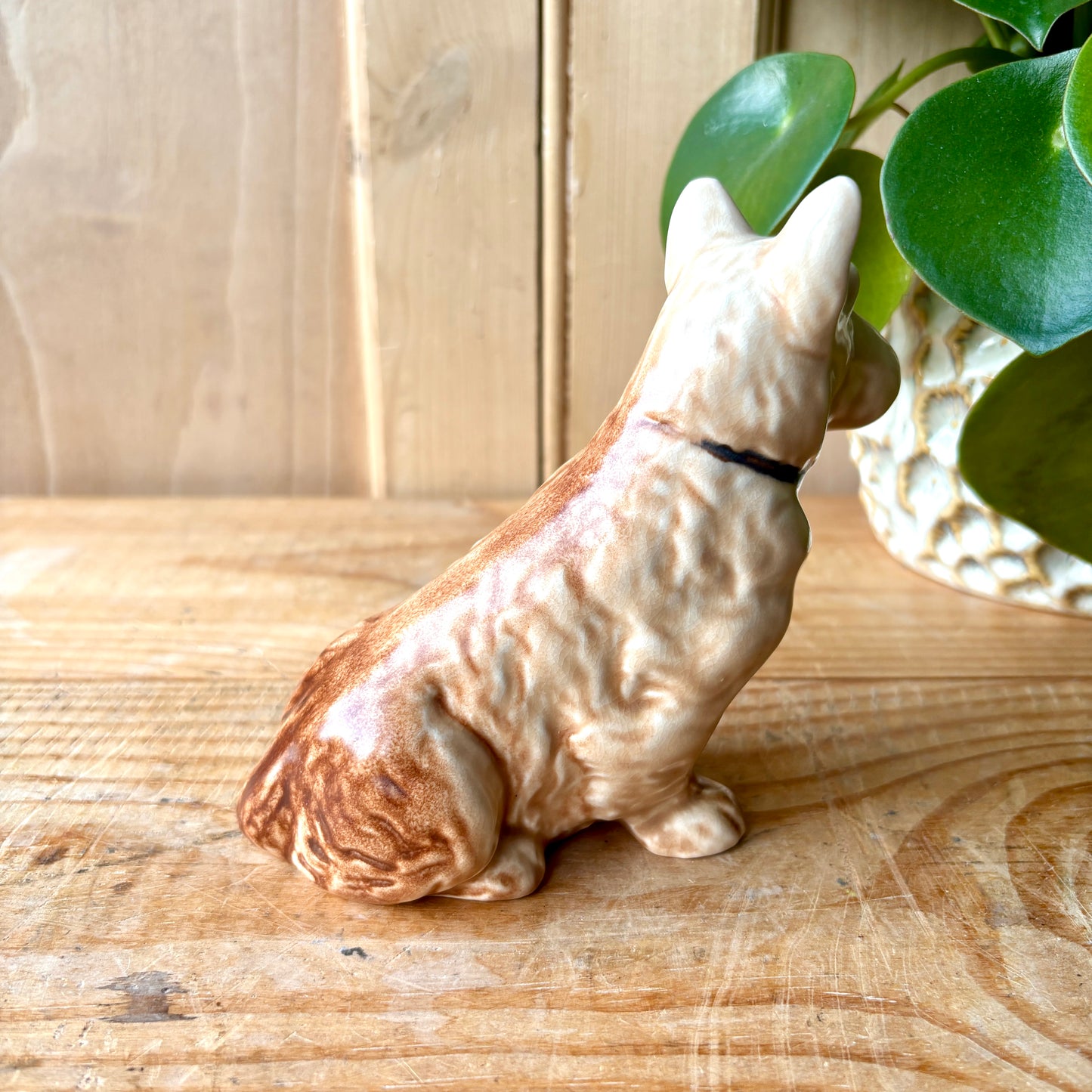 SylvaC Mac Scottie model 1205