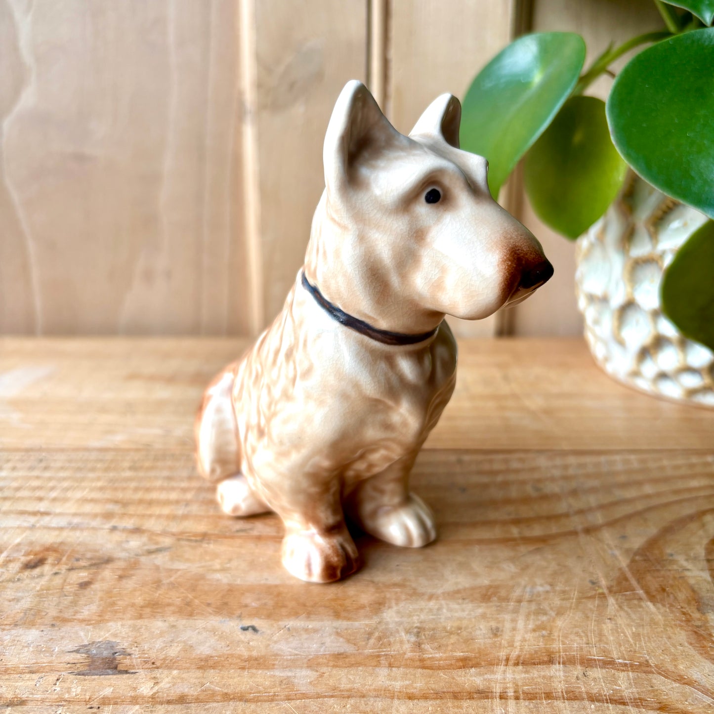 SylvaC Mac Scottie model 1205