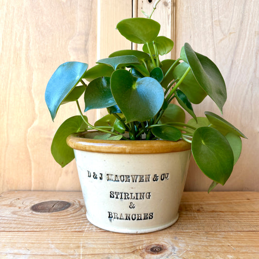 Vintage 4lb Stoneware Butter Crock