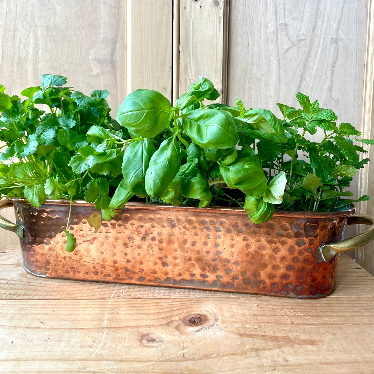 Antique French Copper trough