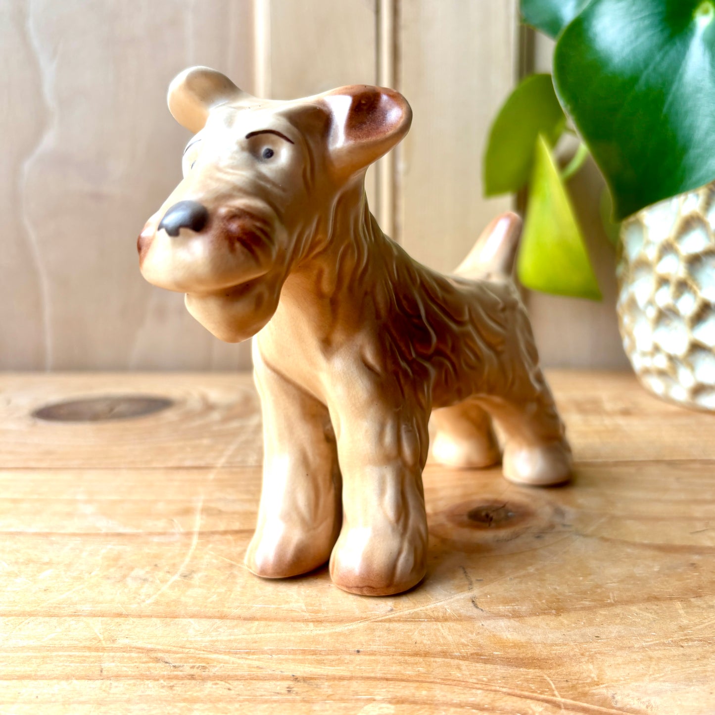 Rare vintage SylvaC standing Airedale Terrier